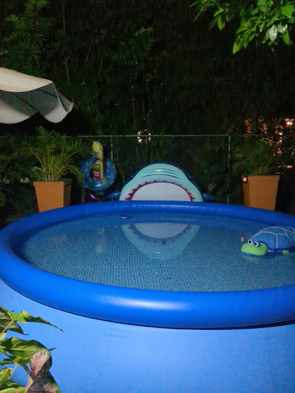 INTEX Easy Set 15 ft x 48in Inflatable Ring Above Ground Pool Set w/Pump customer photo 2