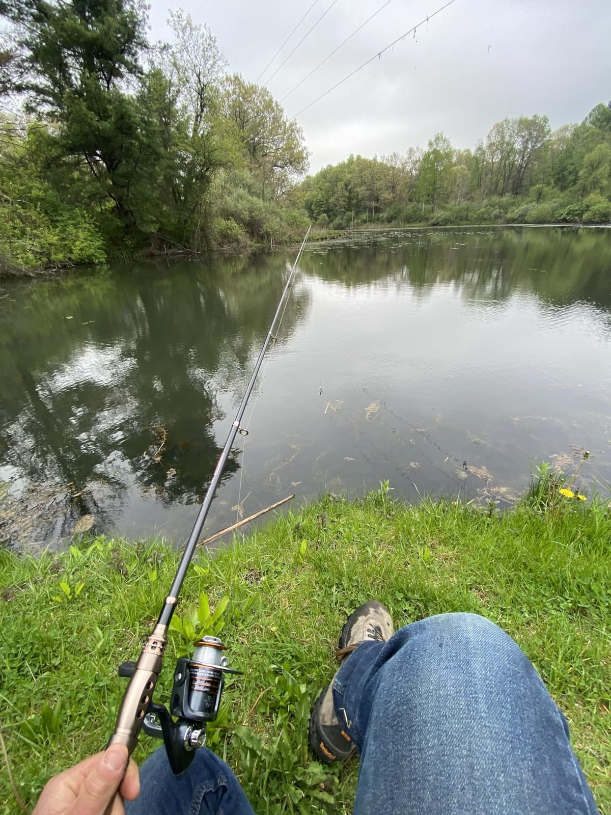 PLUSINNO Fishing Rod and Reel Combos Carbon Fiber Telescopic Fishing Pole with Reel Combo Sea Saltwater Freshwater Kit Fishing Rod Kit customer photo 1