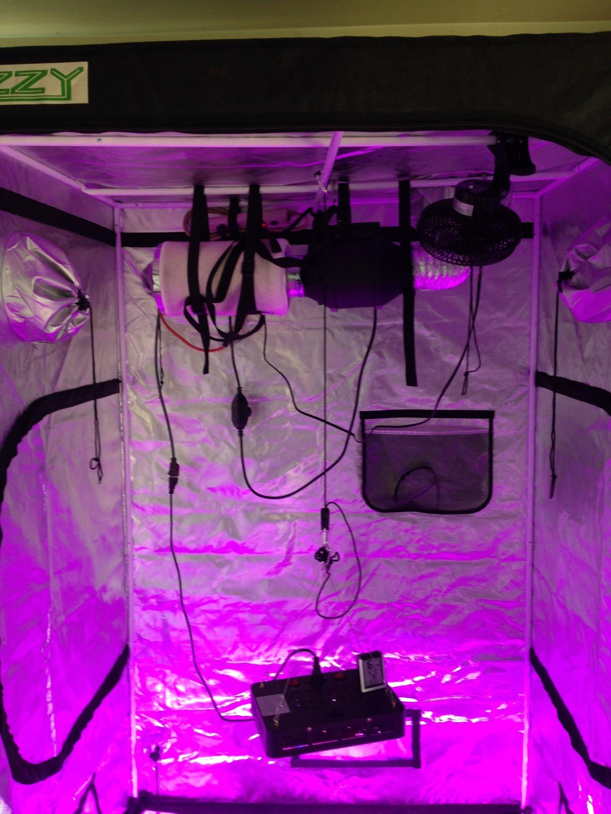 zazzy 4x4 Grow Tent, 48