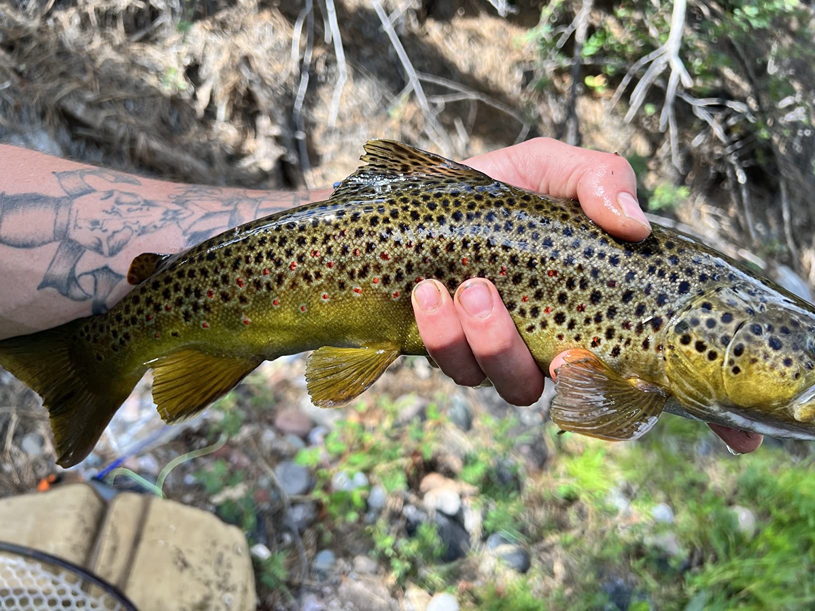 Ross Reels Animas Fly Fishing Reel customer photo 2