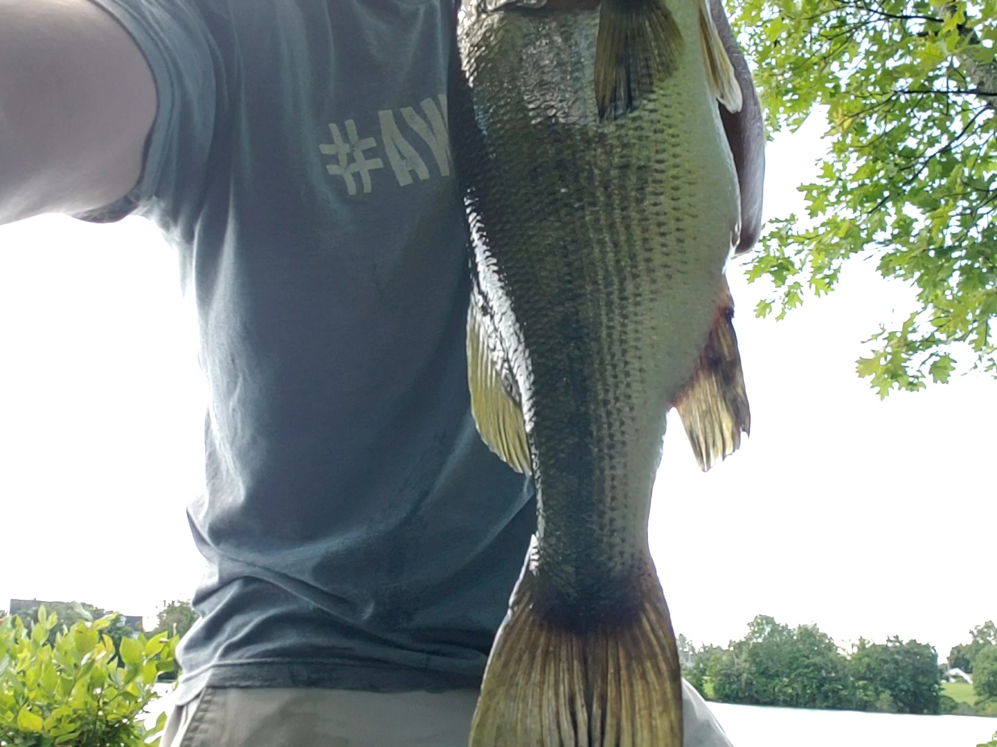 Berkley Lightning Rod Spinning Fishing Rod customer photo 1