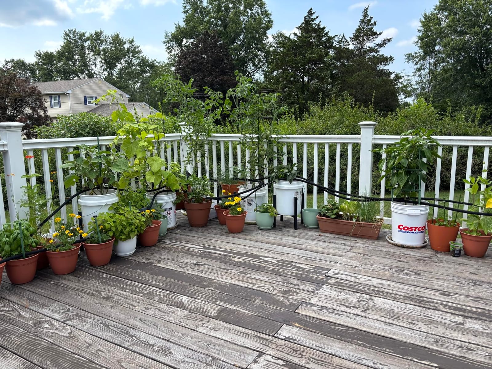 Rocky Mountain Goods Soaker Hose - Heavy duty rubber - Saves 70% water - End cap included for additional hose connect - Great for gardens/flower beds - Reinforced fittings (50-Feet by 5/8-Inch) customer photo 2