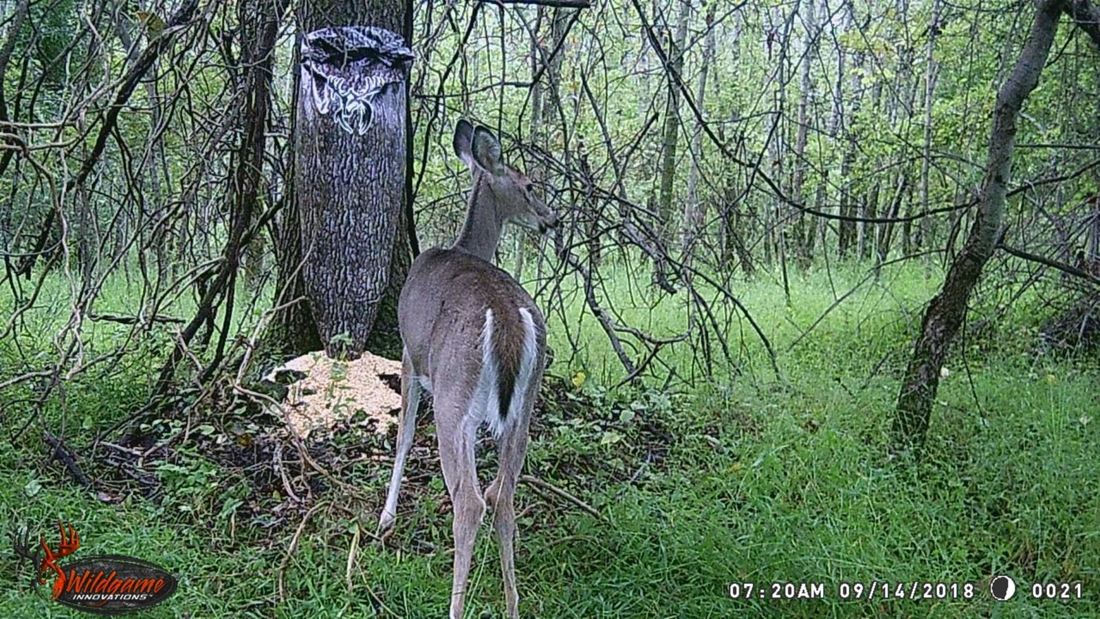WILDGAME INNOVATIONS Treehugger 100 lb Trubark HD Camo Gravity Bag Feeder customer photo 1