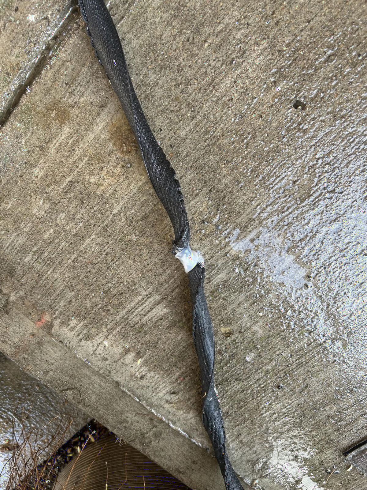 Stanley DuraflexPro Expanding Garden Hose, 50 Feet customer photo 2
