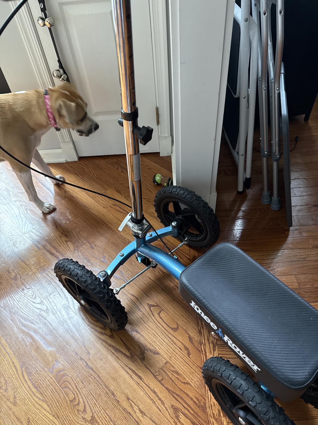 KneeRover Quad All Terrain Knee Scooter for Adults, Metallic Blue | Four Pneumatic Wheels, Heavy Duty Knee Walker For Foot Surgery, Broken Ankle Foot Injuries Recovery, Knee Crutch Alternative customer photo 2