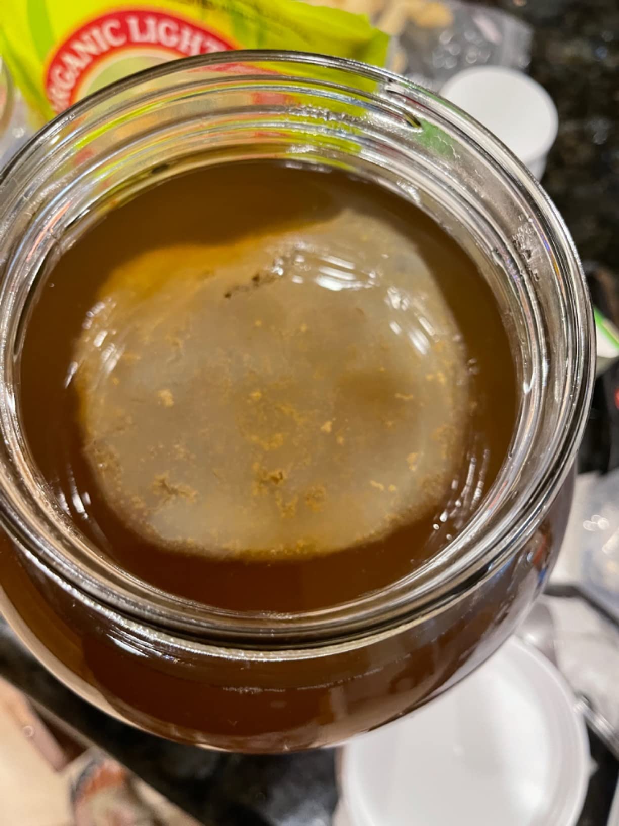 Kombucha Essentials Kit - Includes USDA Organic Kombucha SCOBY + 1-Gallon Glass Fermenting Jar with Breathable Cover + pH Strips + Rubber Band + Adhesive Thermometer - Brew kombucha at Home customer photo 1