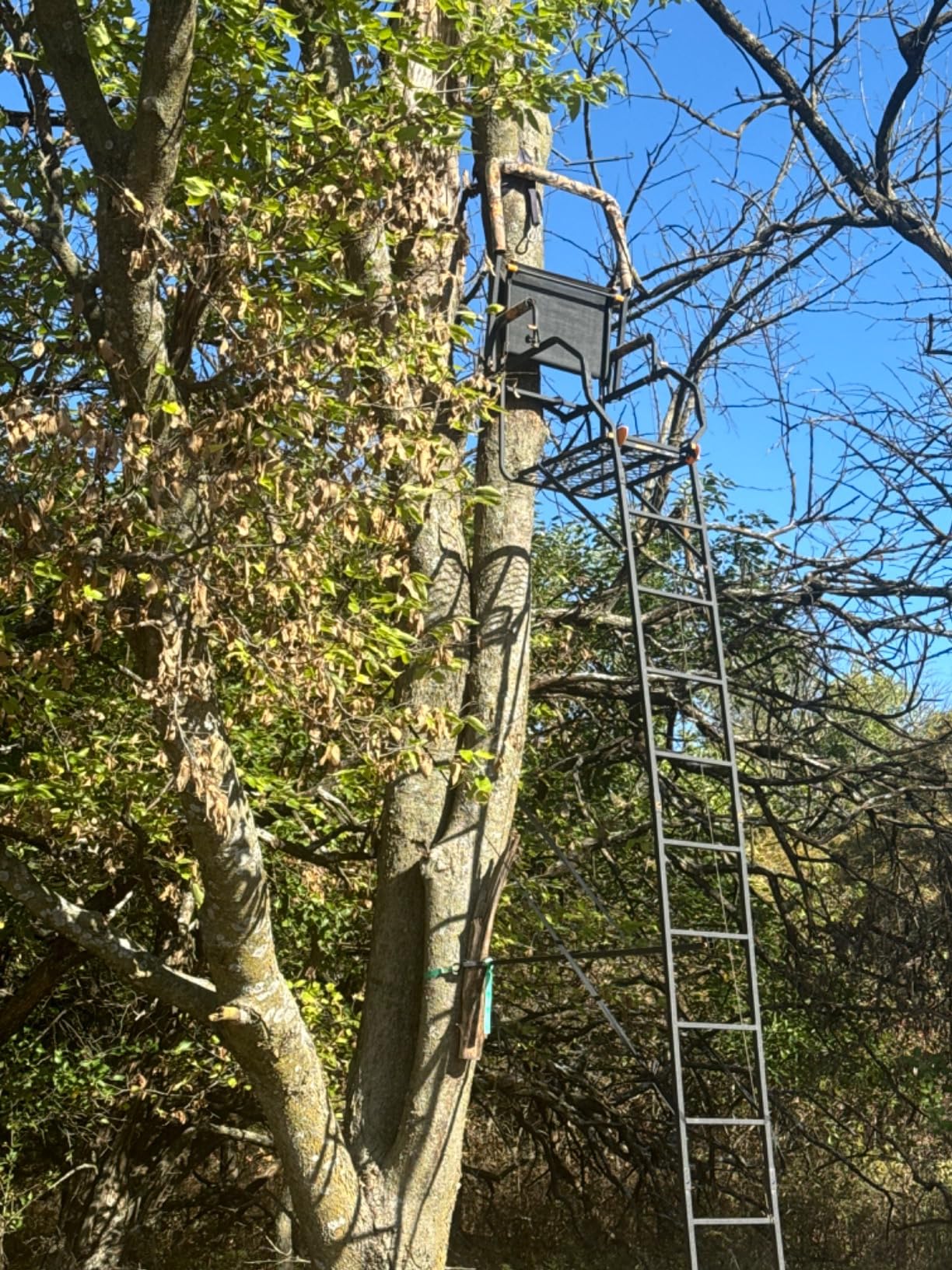 Muddy 1-Person Huntsman Deluxe Steel Ladder Tree Stand, 17 ft Tall customer photo 2