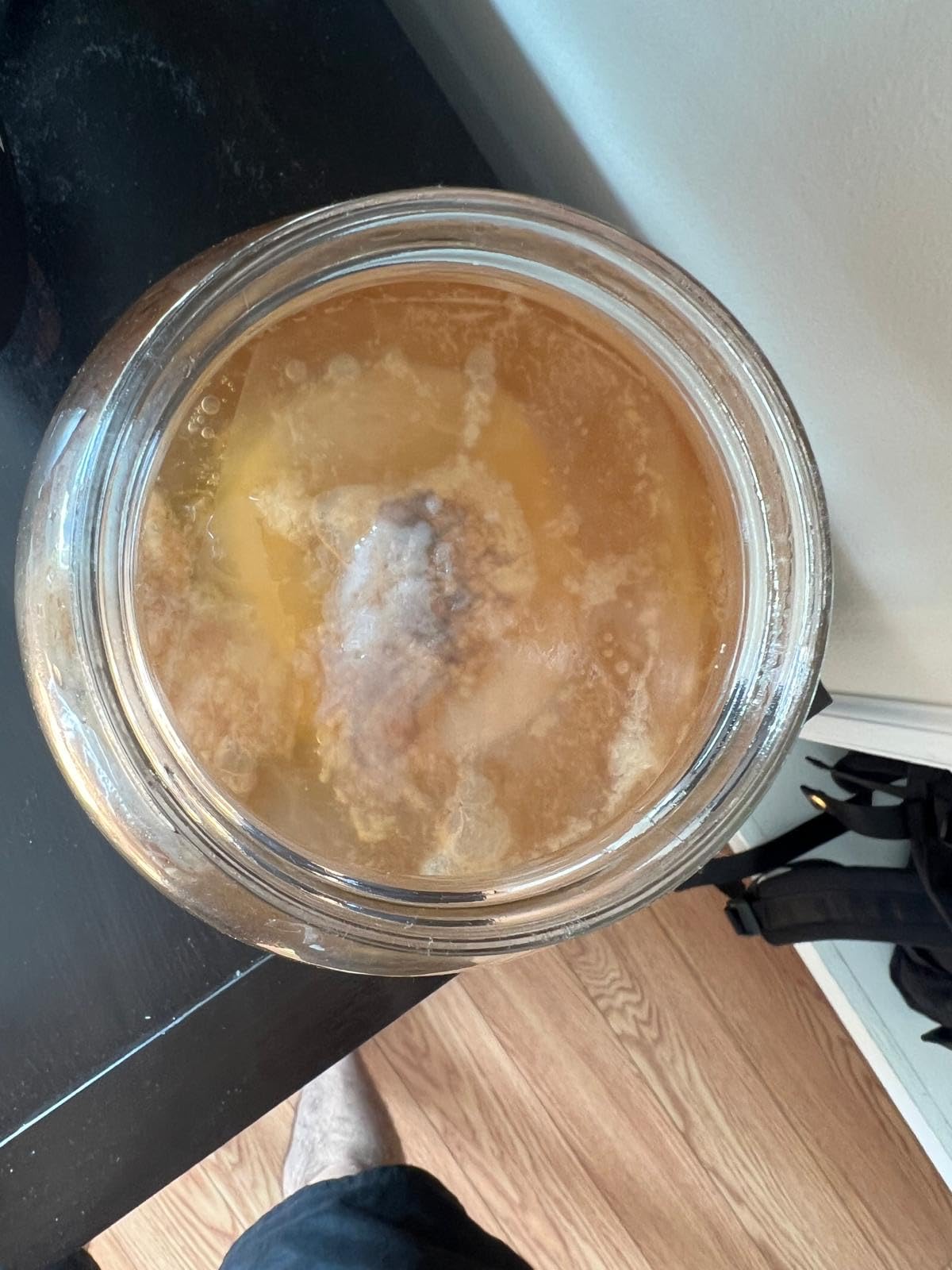 Starter Kit - Includes Organic SCOBY, Starter Liquid, 1 Gallon Glass Jar, Temp Gauge, Tea, and Sugar customer photo 1