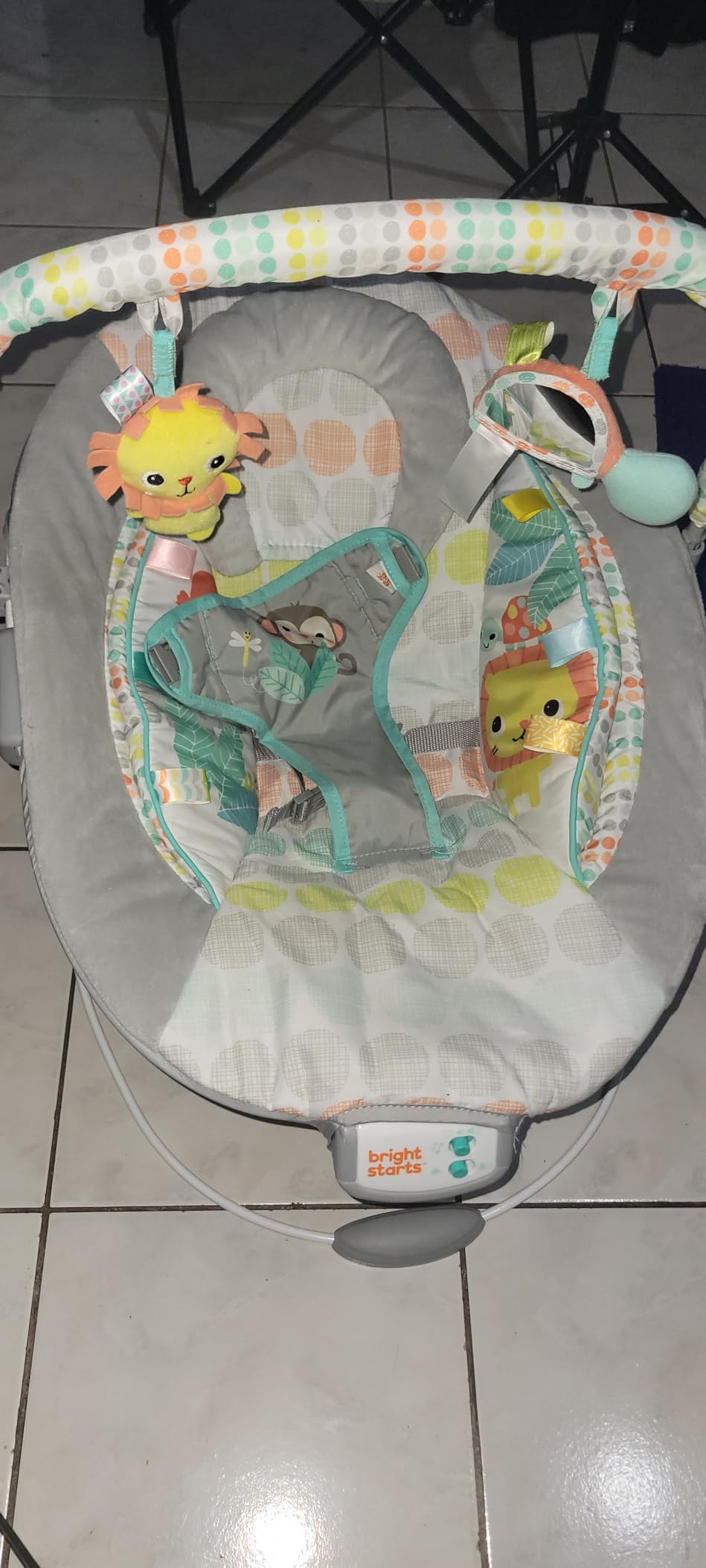 Bright Starts Comfy Baby Bouncer Soothing Vibrations Infant Seat - Taggies, Music, Removable Toy Bar, 0-6 Months Up to 20 lbs (Whimsical Wild) customer photo 1