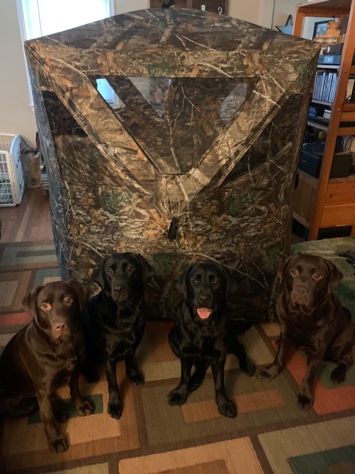 Rhino Blinds R100-RTE 2 Person Hunting Ground Blind, Realtree Edge customer photo 1
