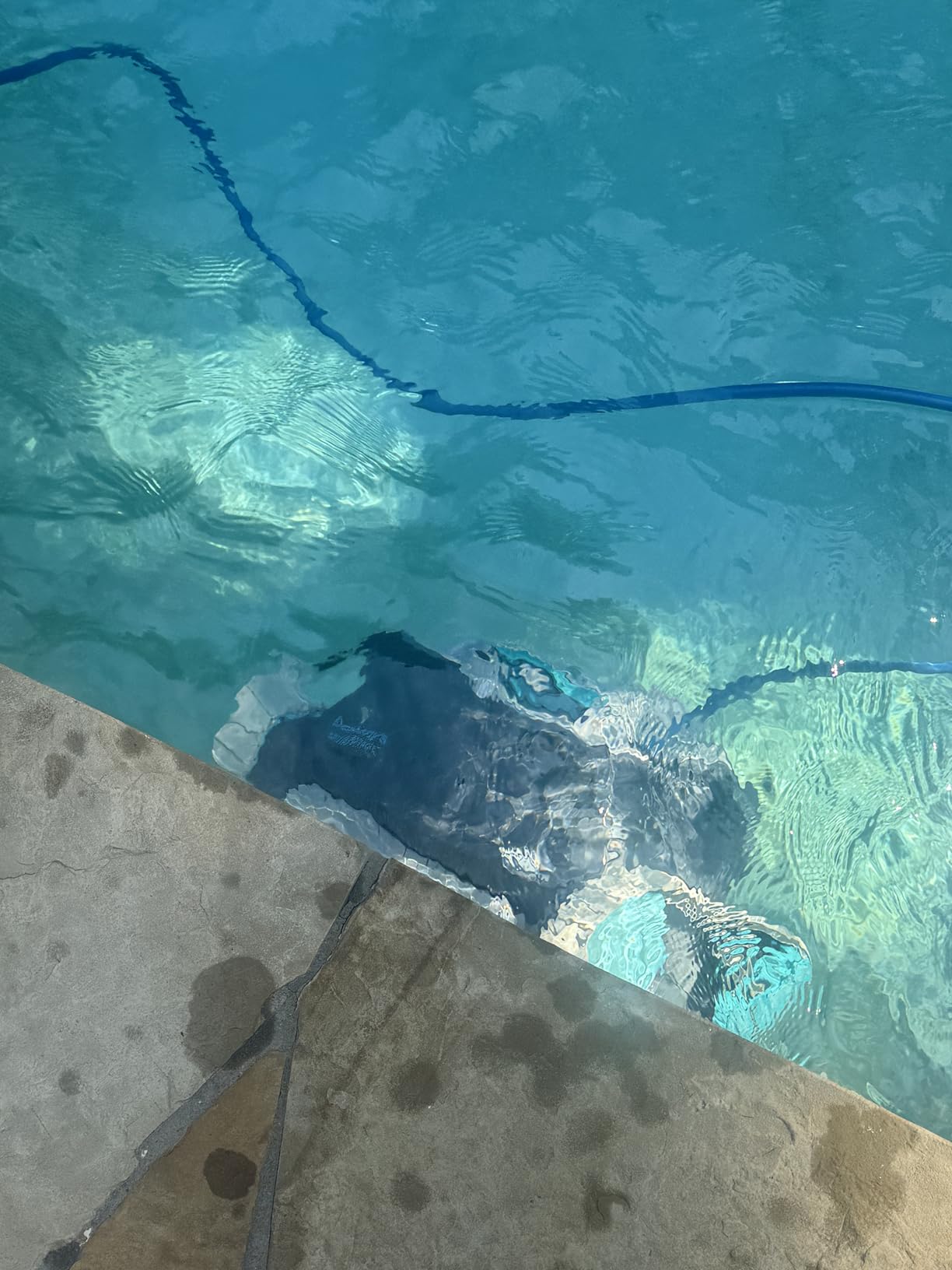 Dolphin Advantage Automatic Robotic Pool Vacuum Cleaner, Wall Climbing, Active Scrubber Brush, Ideal for In-Ground Pool Types up to 33 FT in Length customer photo 2