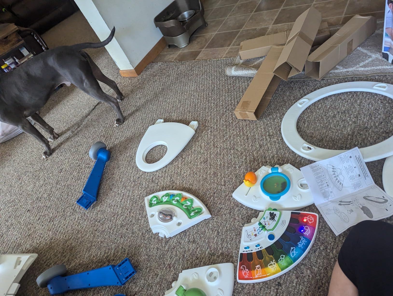 Baby Einstein 4-in-1 Activity Center & Walker with Piano customer photo 1