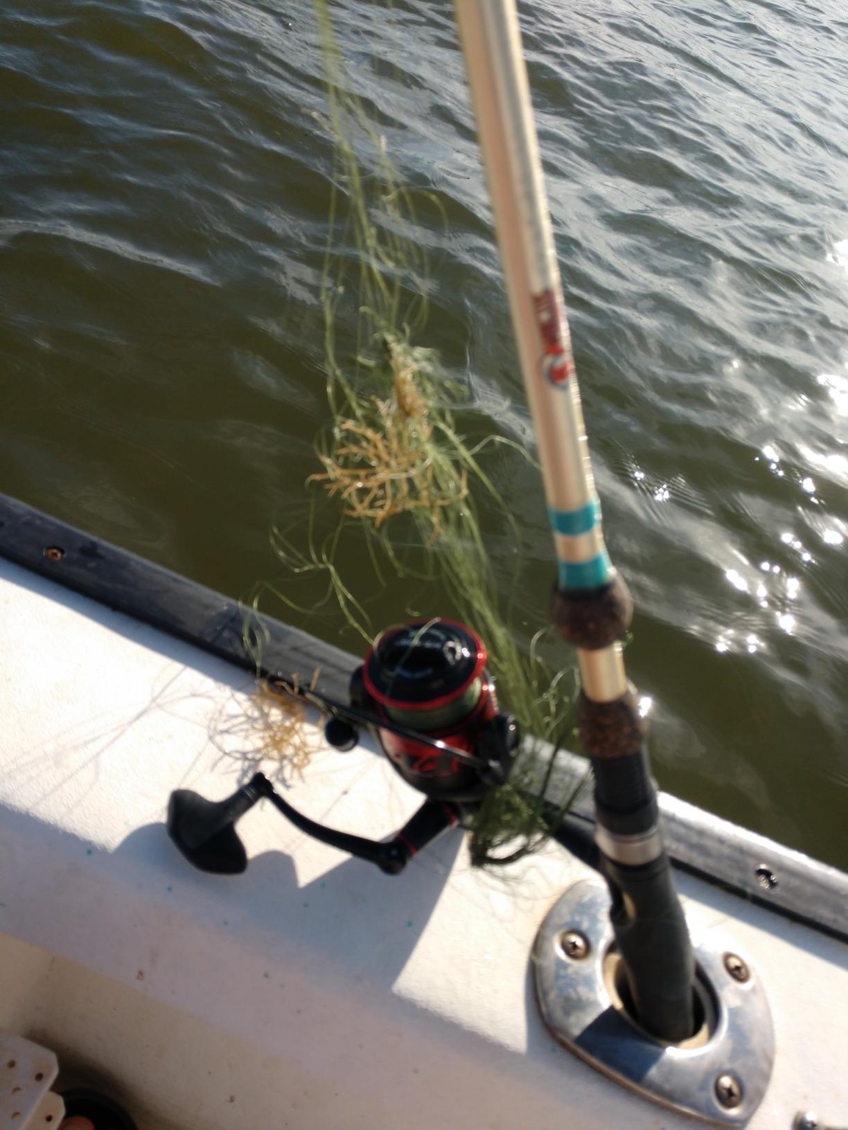 Penn Fierce III Spinning Inshore Fishing Reel customer photo 2