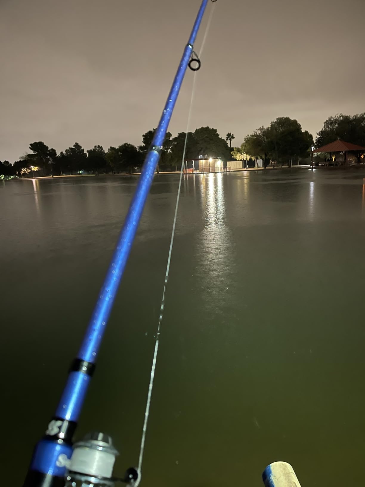 Sougayilang Telescopic Fishing Rod - 24 Ton Carbon Fiber,CNC Machined Reel Seat, Comfortable EVA Handle, Travel Fishing Rod for Bass Trout Fishing customer photo 1