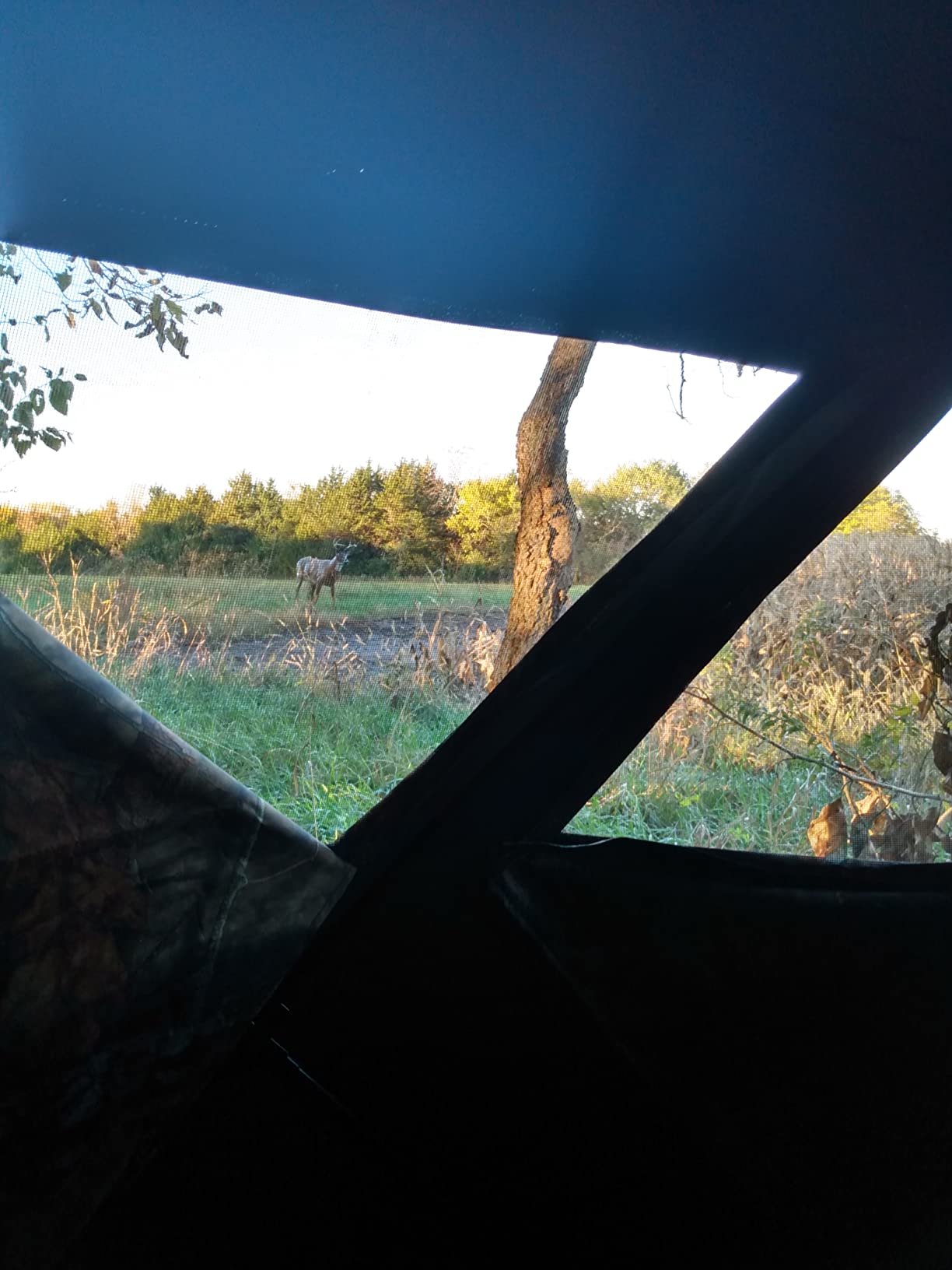 Ameristep Care Taker Ground Blind, Mossy Oak Break Up Country customer photo 1