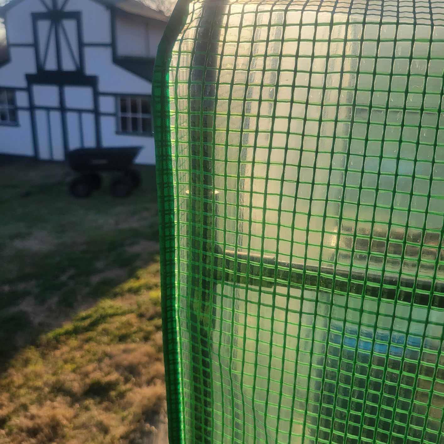 Portable Walk-in Greenhouse for Outdoors, 56x30x76 Plant House with Shelves customer photo 2
