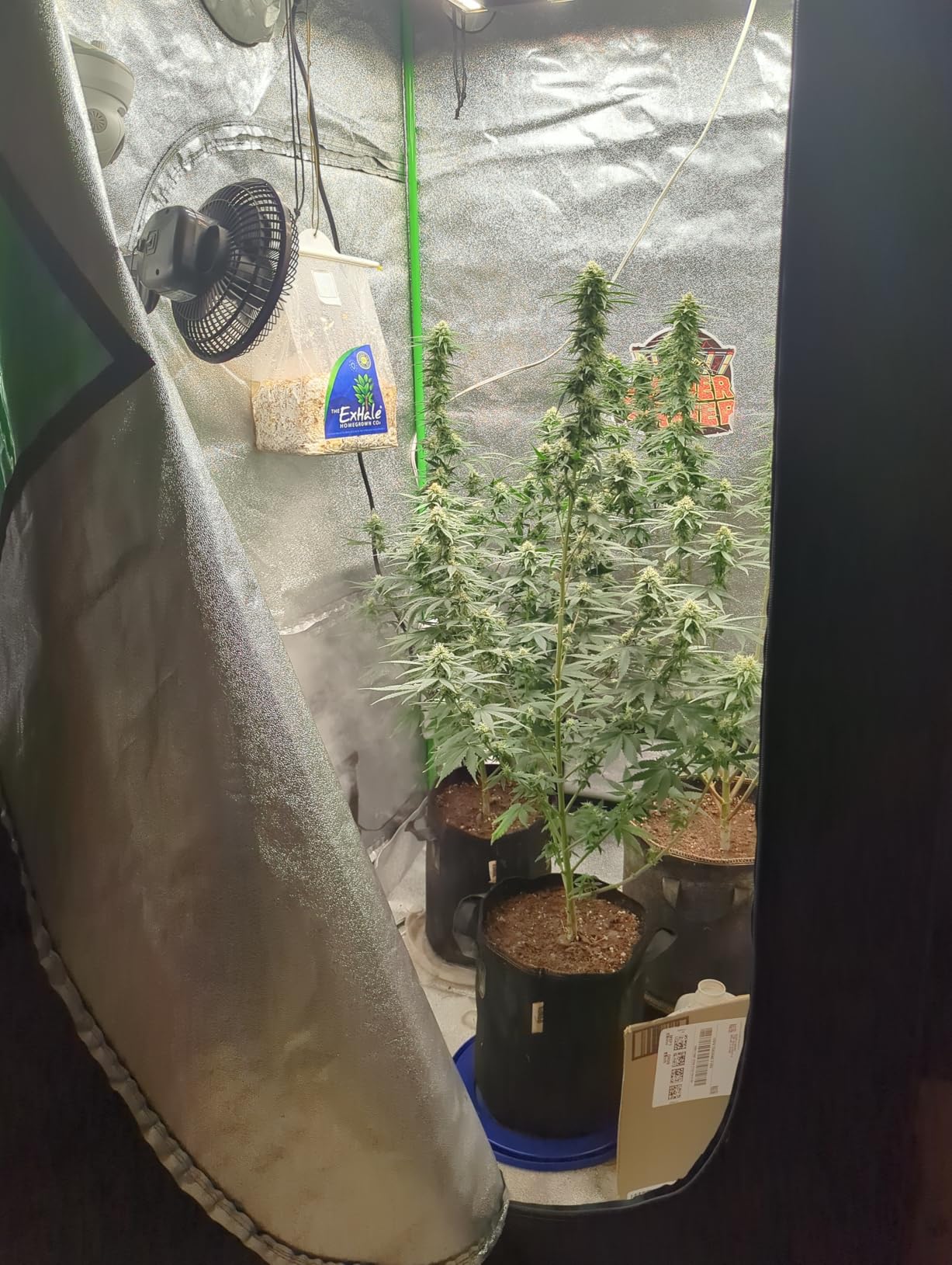 Spider Farmer 4.6x2.3 Grow Tent, 55