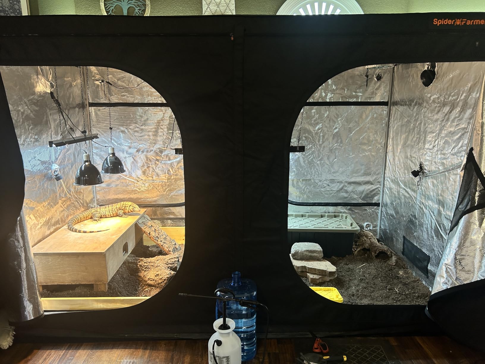 Spider Farmer 5x5 Grow Tent 60