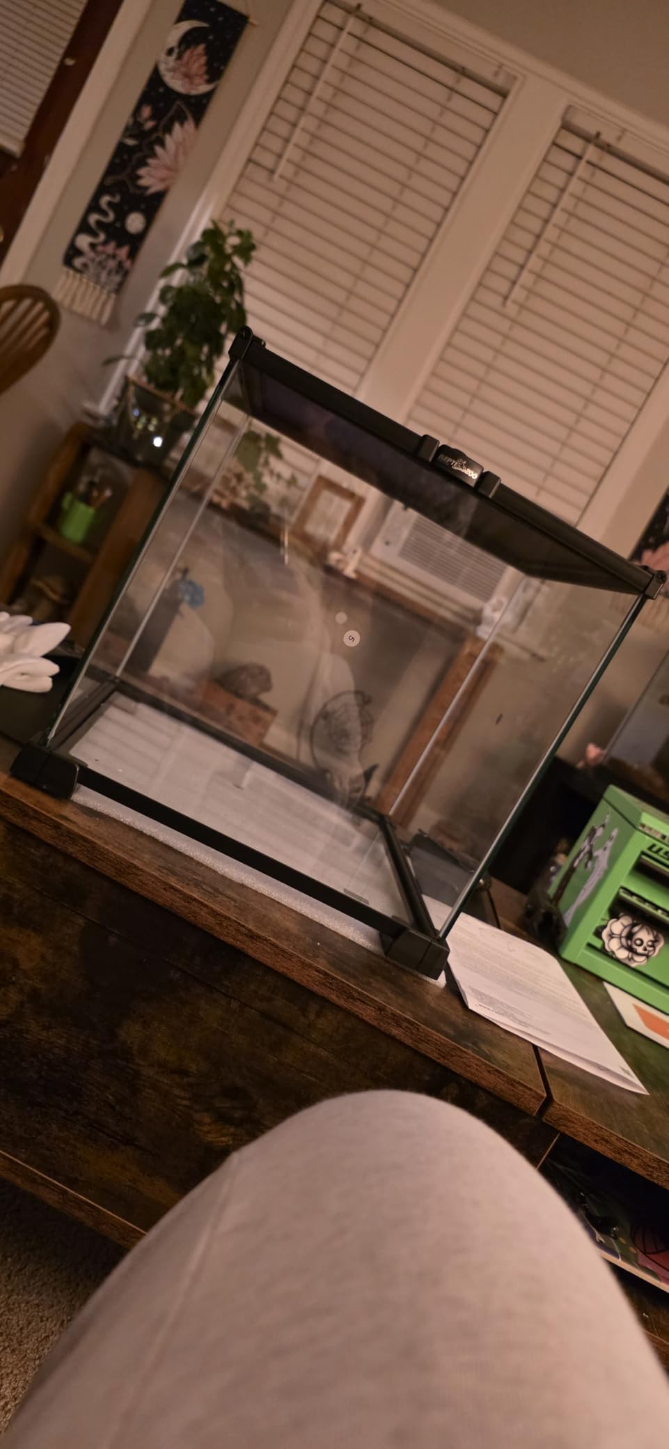 REPTIZOO Small Glass Tank 8 Gallon, Top Opening Terrarium 12