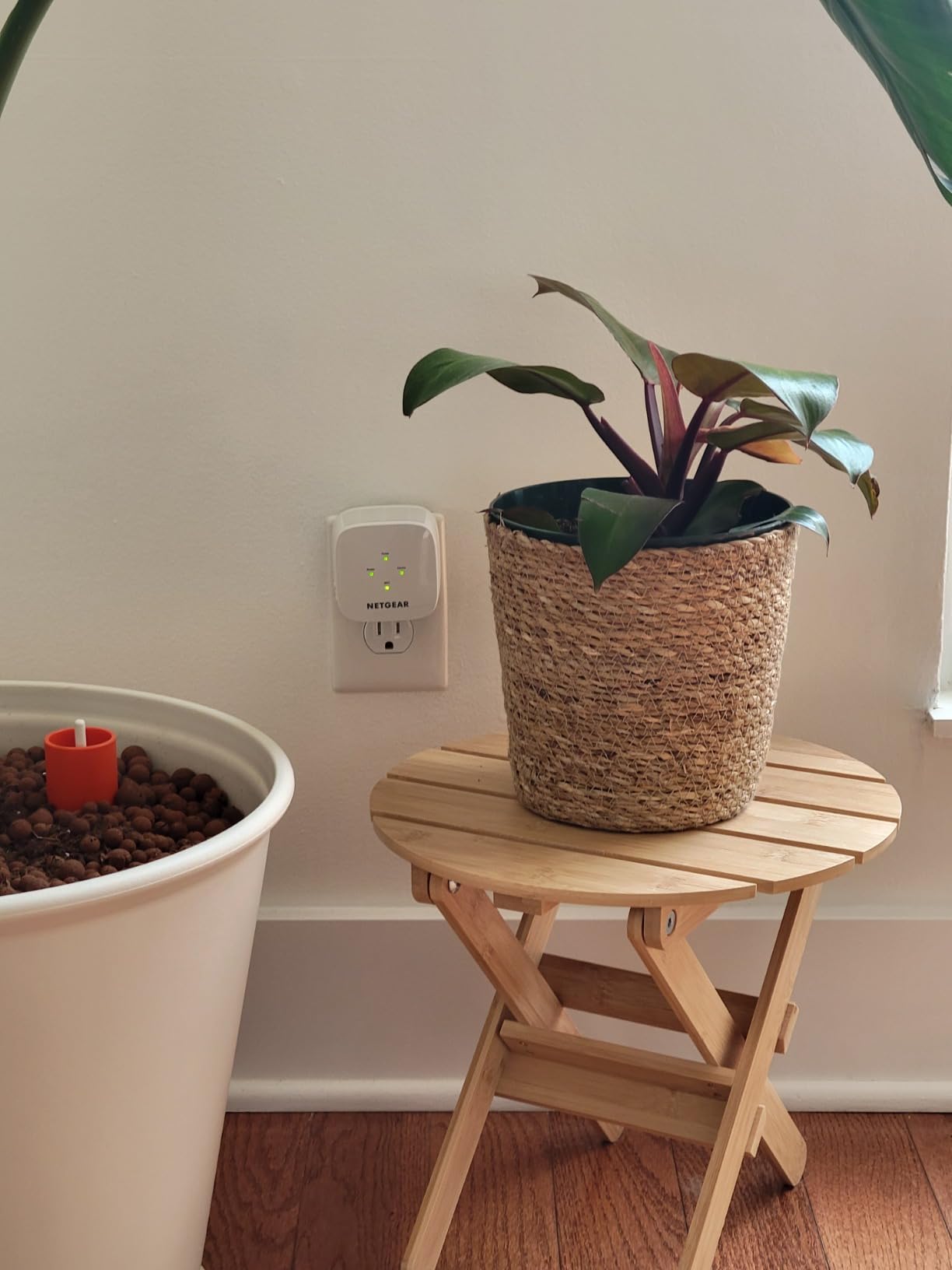 NETGEAR WiFi Mesh Range Extender (EX5000) - Covers up to 1,000 sq.ft. and 15 Devices with AC1200 Dual Band Wireless Signal Booster & Repeater (up to 1200 Mbps Speed) - Compact Wall Plug Design customer photo 2