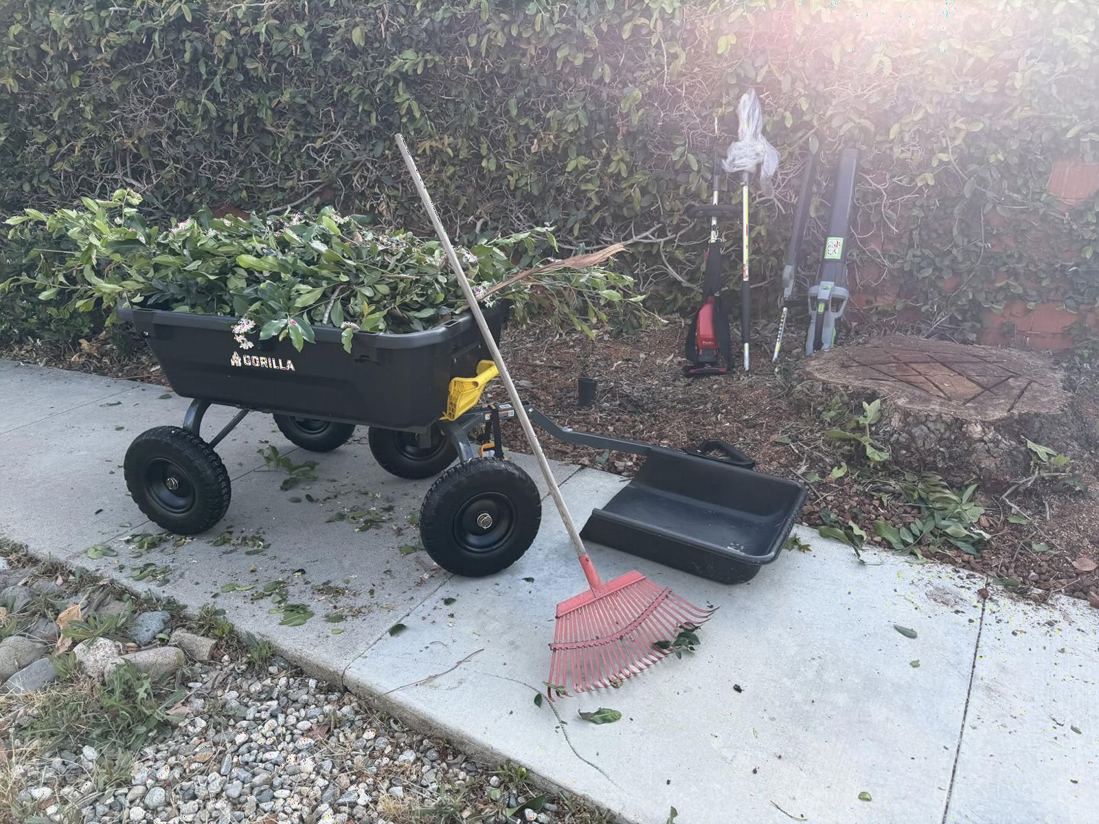 Gorilla Carts Heavy-Duty Dump Cart, Patented Quick-Release Dumping, Steel Frame, 600 lb Capacity, No-Flat 10-Inch Tires, Utility Wagon for Garden, Yard, Beach customer photo 1