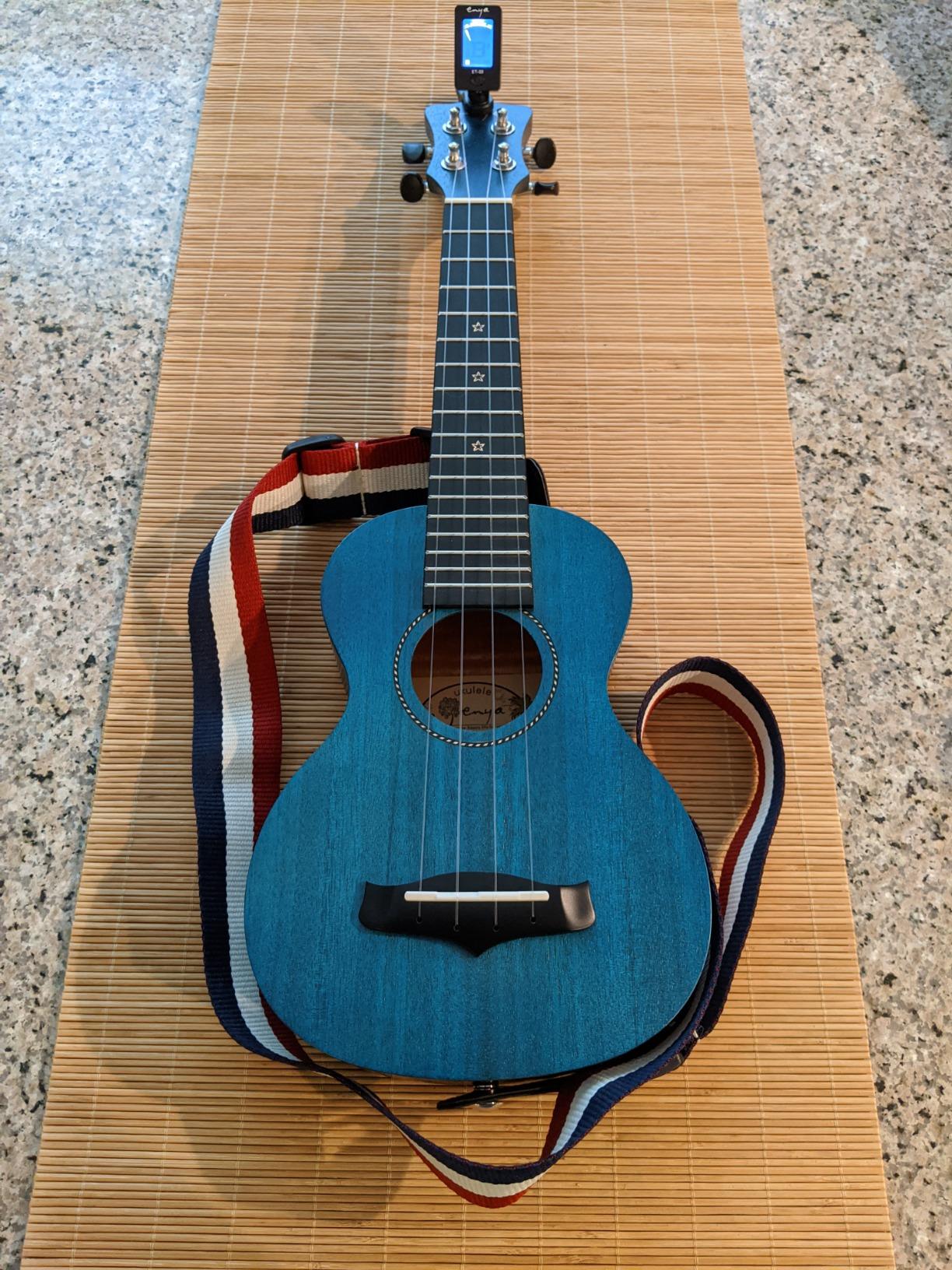 Enya EUS-25D 21 Inch Soprano Ukulele, Solid Mahogany Top, Blue | Beginner Ukulele Kit with Gig Bag, Capo, Tuner, Strap and Picks, for Adults, Students, Lessons, Practice and Travel customer photo 1