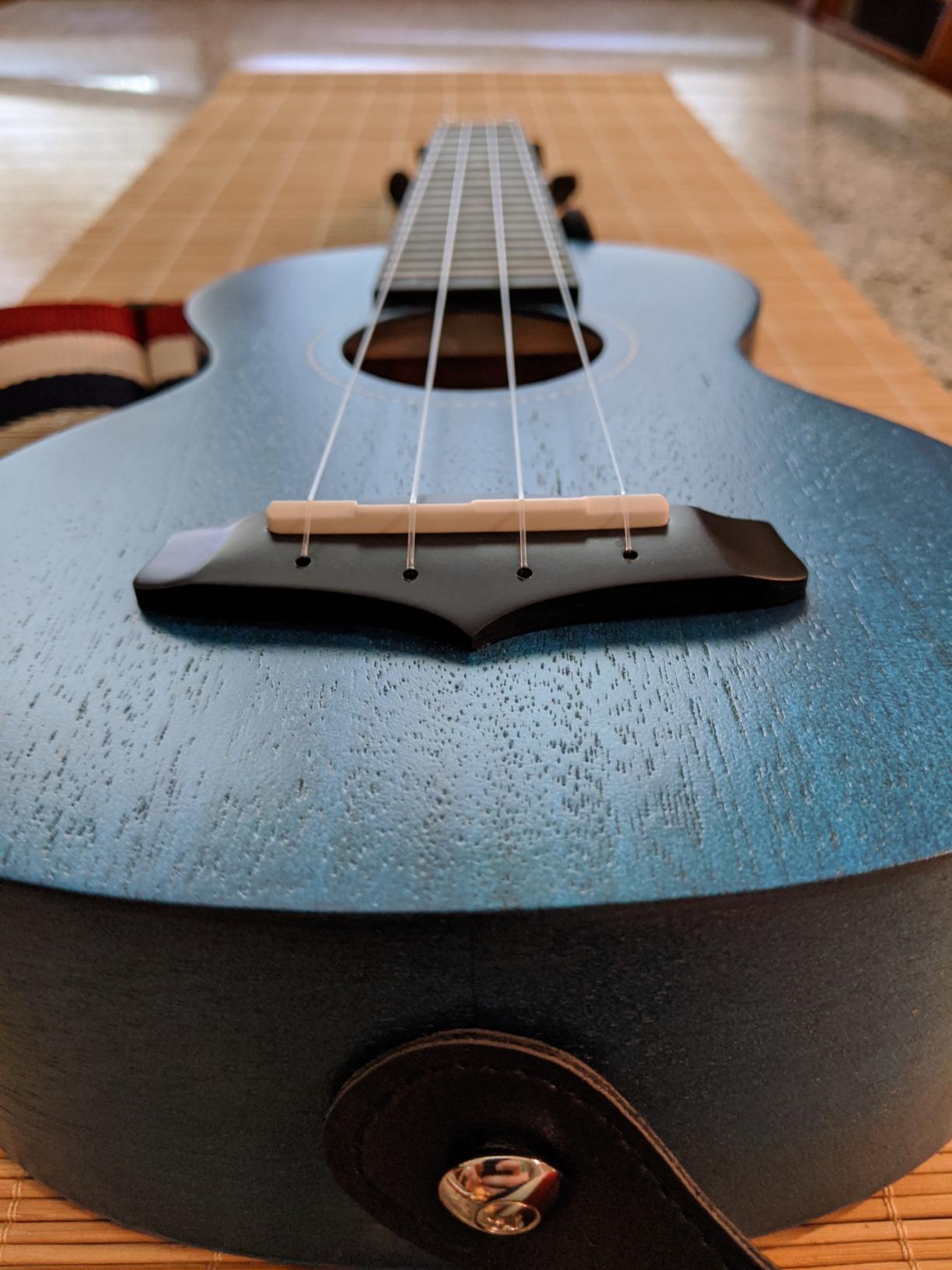 Enya EUS-25D 21 Inch Soprano Ukulele, Solid Mahogany Top, Blue | Beginner Ukulele Kit with Gig Bag, Capo, Tuner, Strap and Picks, for Adults, Students, Lessons, Practice and Travel customer photo 2