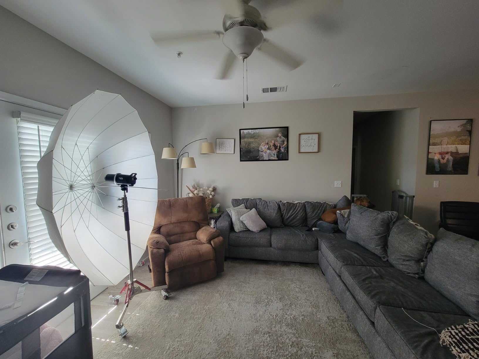 Neewer Heavy Duty Light Stand with Casters, Adjustable Tripod Stand with 100% Stainless Steel, Photography Wheeled Base Stand for Studio Softbox, Monolight, Reflector, Max Height: 10ft/305cm customer photo 2