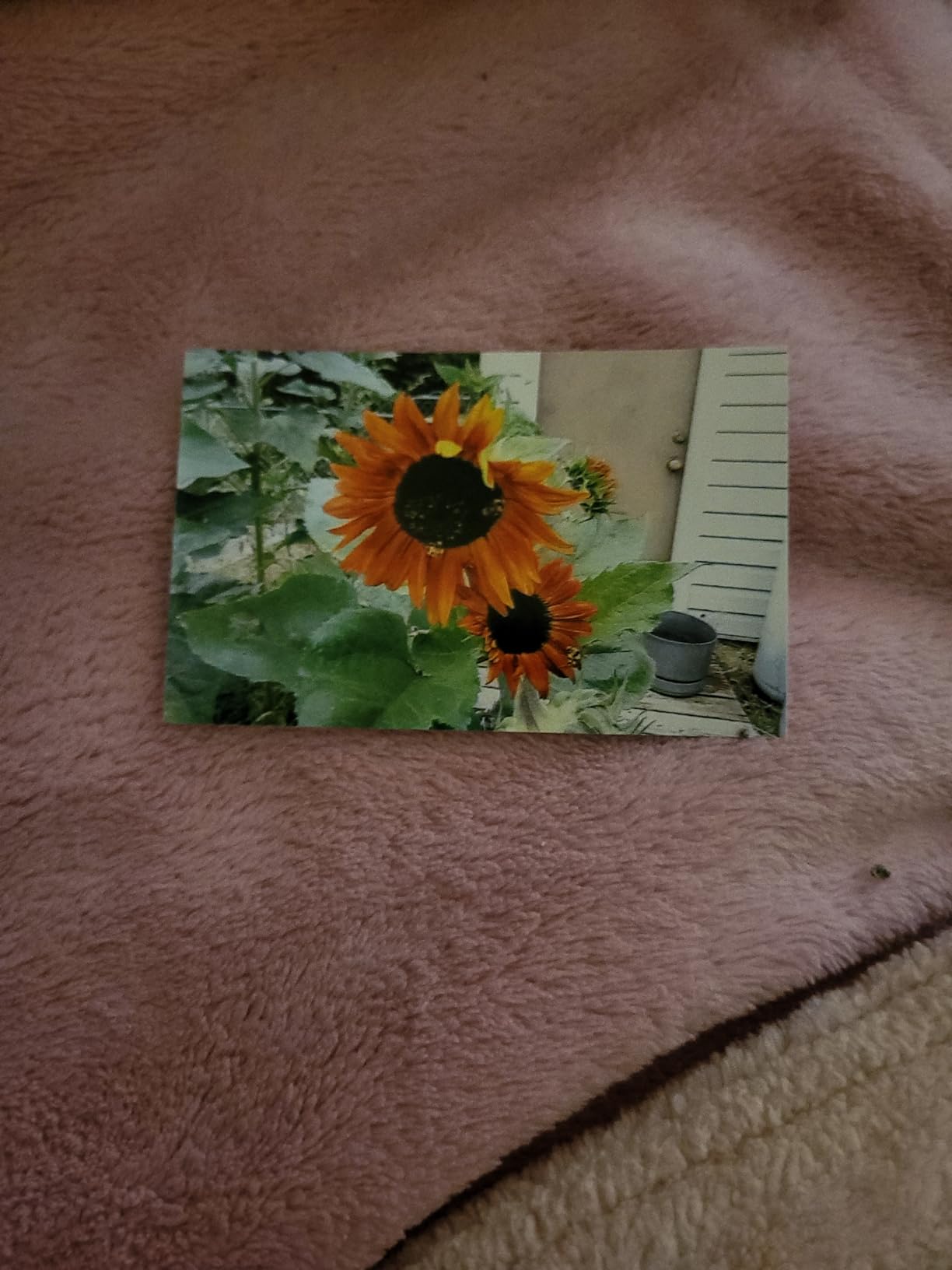 KODAK Mini Shot 2 Retro 2x3