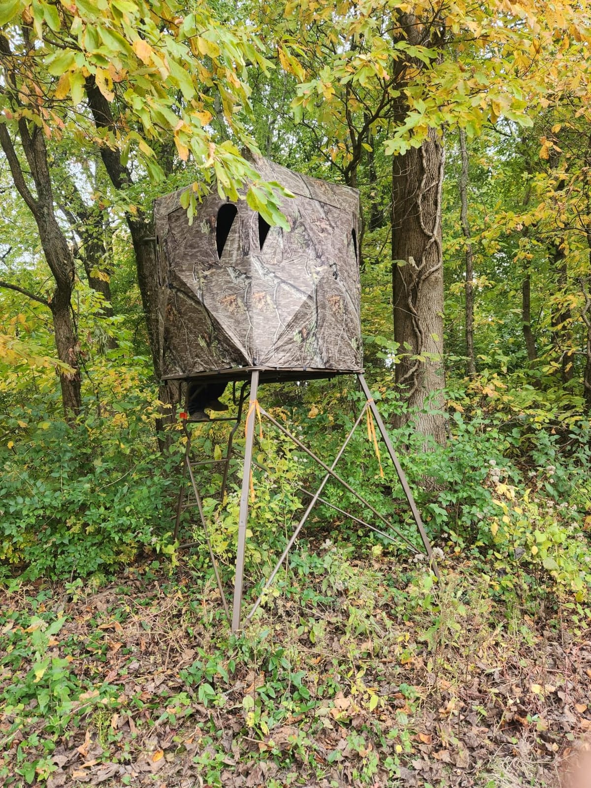 Guide Gear 6 Foot Tripod Hunting Tower Blind, 2-Man Stand Elevated, Hunting Gear Equipment Accessories customer photo 2