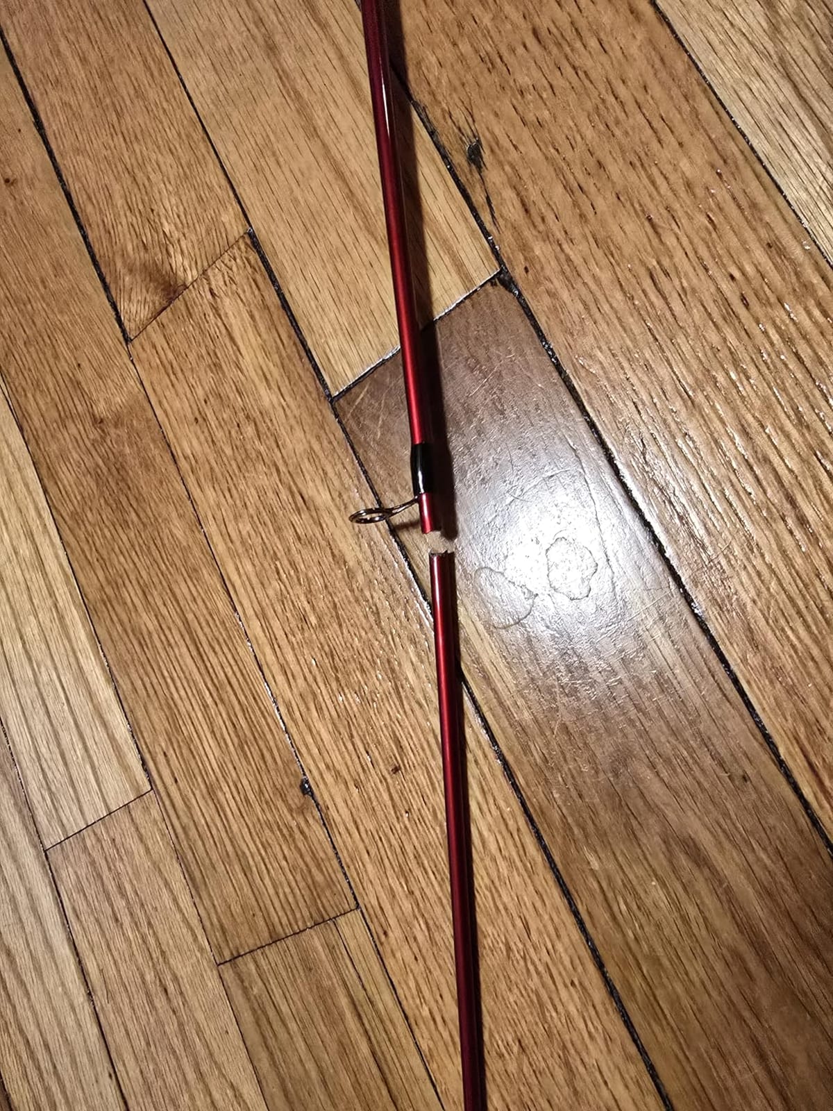 Berkley Cherrywood HD Spinning Fishing Rods customer photo 1