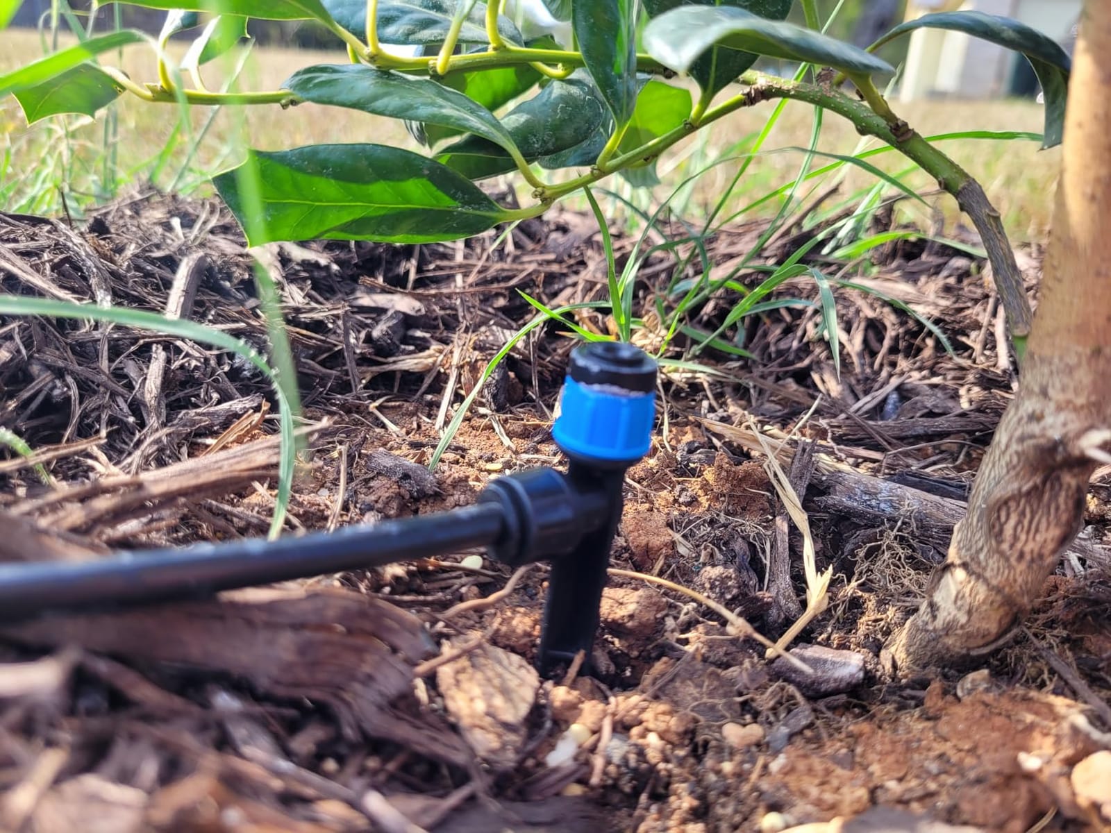 MIXC Greenhouse Micro Drip Irrigation Kit Automatic Irrigation System Patio Misting Plant Watering System with 1/4 inch 1/2 inch Irrigation Tubing Hose Adjustable Nozzle Emitters Barbed Fittings customer photo 2