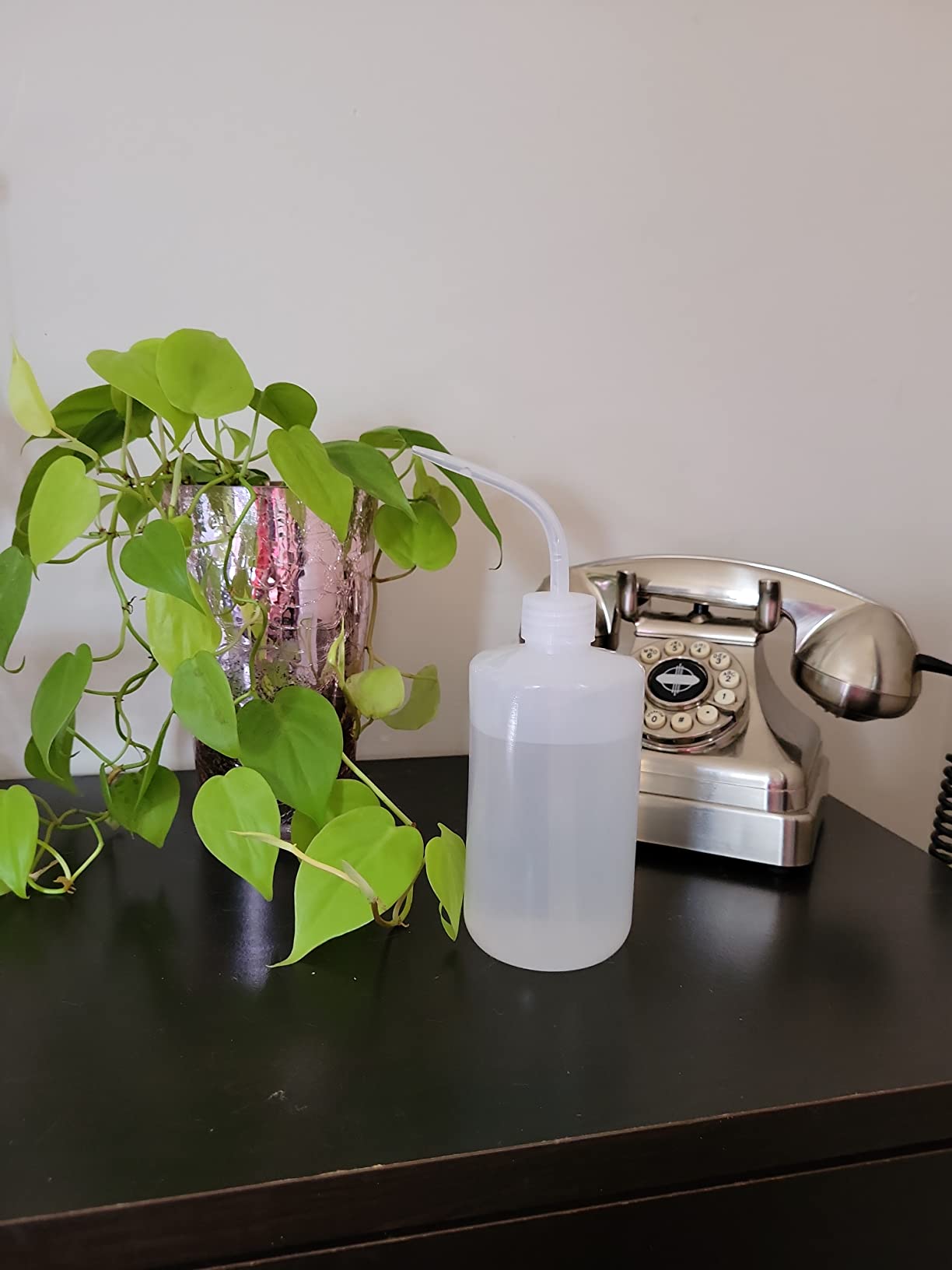 BEADNOVA Squeeze Plant Watering Bottle 250ml 8oz Small Wash Bottle Squeeze Plastic Watering Can for Indoor Plants Succulents (1pc) customer photo 2