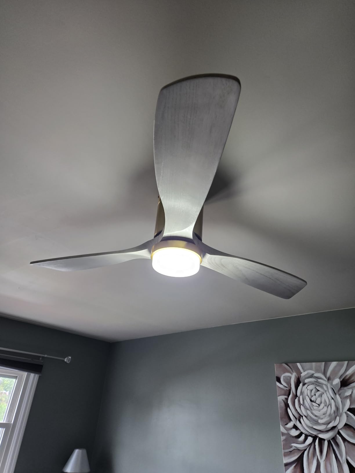 Sofucor 52 Inch Wood Ceiling Fan No Light, Flush Mount Low Profile, Brown | Ceiling Fan without Light, Remote Control, Quiet Reversible DC Motor, 6 Speeds, Timer, Indoor/Outdoor/Bedroom/Living Room customer photo 1
