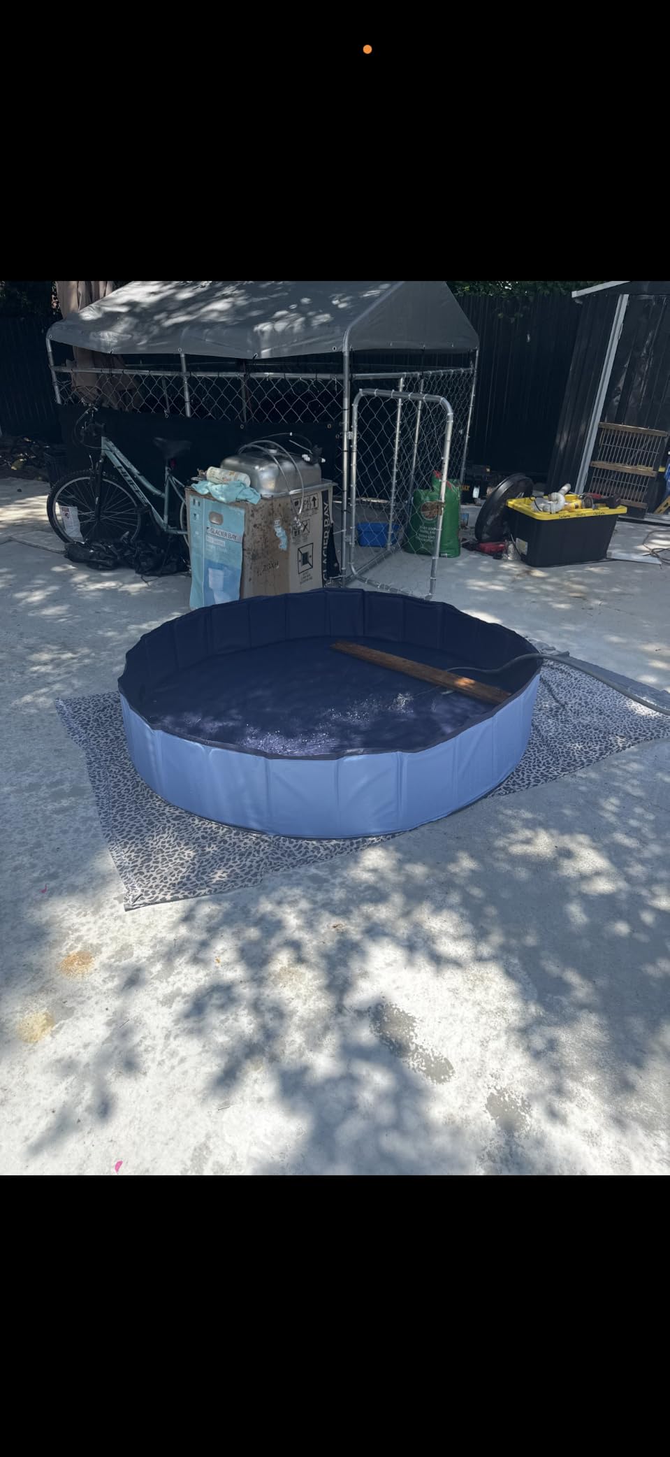 Jecoo Dog Pool for Large Dogs Kiddie Pool Hard Plastic Foldable Dog Bathing Tub Portable Outside Kids Swimming for Pets and Dogs Outdoor Backyard customer photo 1