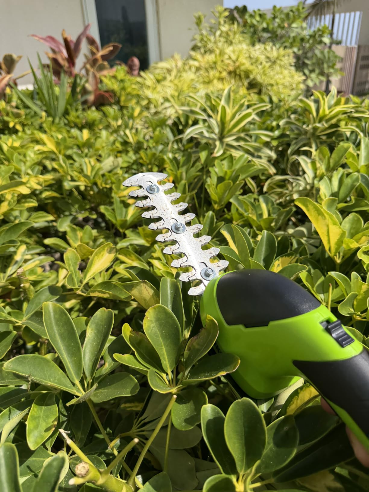 WORKPRO 7.2V Cordless Grass Shear & Shrubbery Trimmer customer photo 1