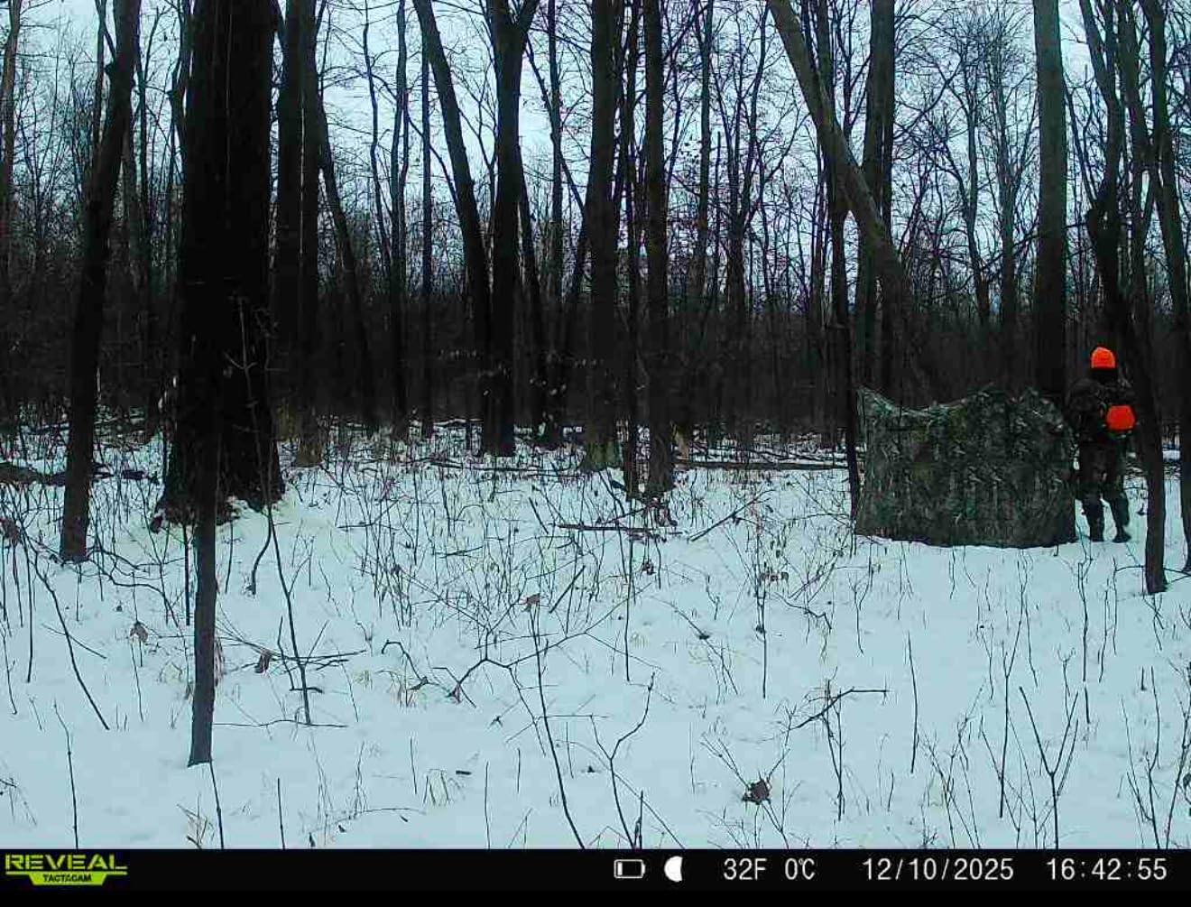 TIDEWE Hunting Blind 270° See Through with Carrying Bag for Turkey Hunting, Pop Up Ground Blinds, Portable Resilient Hunting Tent customer photo 2