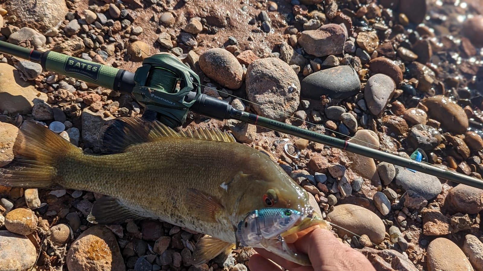 KastKing Spartacus II Baitcasting Fishing Reel, 6oz Ultralight Baitcaster Reel, Super Smooth with 17.6 LB Carbon Fiber Drag, 7.2:1 Gear Ratio, 39mm Palm Perfect Lower Profile Design customer photo 2