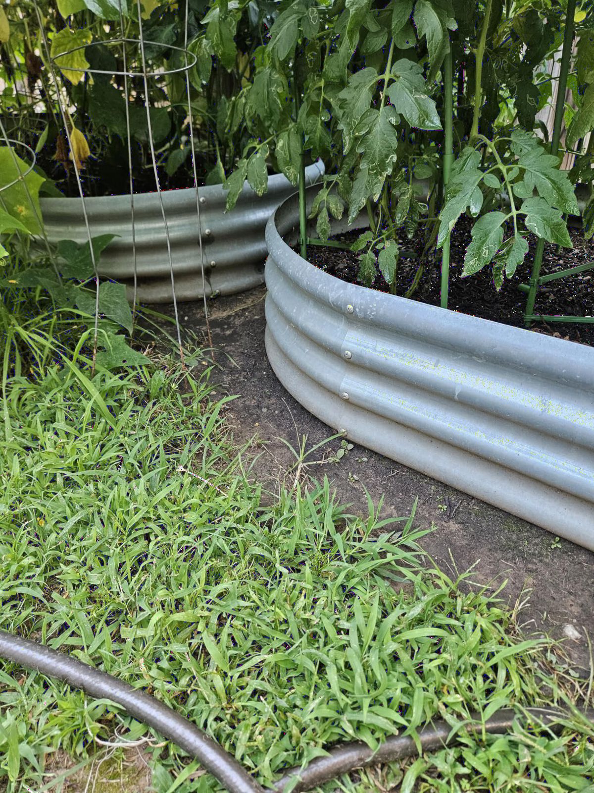 Land Guard Galvanized Raised Garden Bed Kit, Galvanized Planter Garden Boxes Outdoor, Oval Large Metal Raised Garden Beds for Vegetables………… customer photo 1