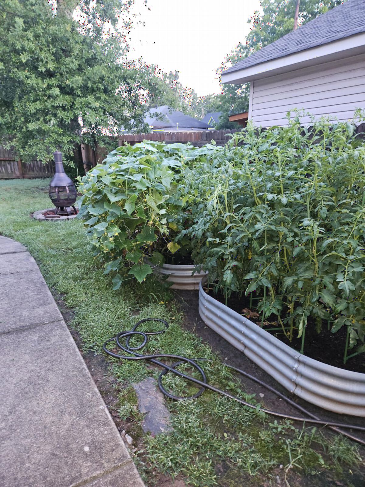 Land Guard Galvanized Raised Garden Bed Kit, Galvanized Planter Garden Boxes Outdoor, Oval Large Metal Raised Garden Beds for Vegetables………… customer photo 2