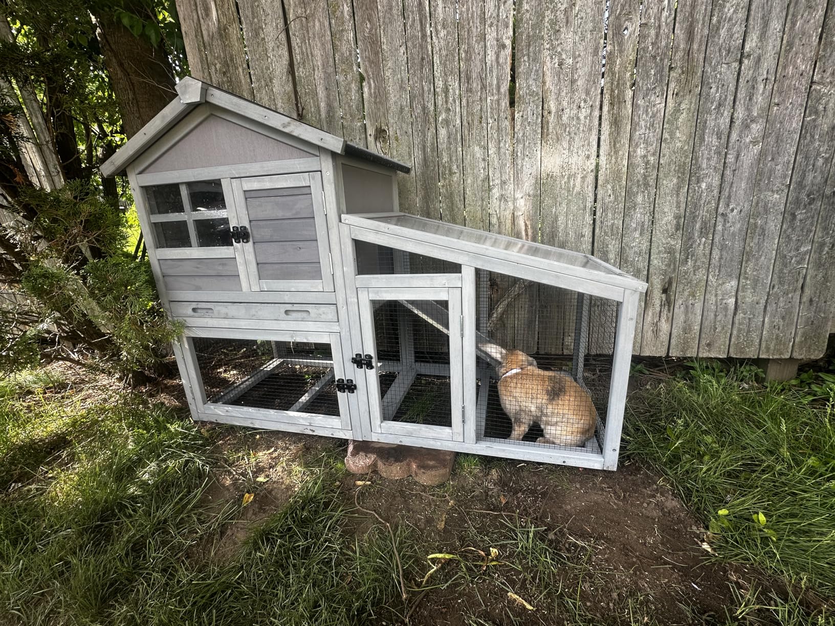 GUTINNEEN Rabbit Hutch for Outdoor Indoor Use, Bunny Cage with PVC Layer and Bottom Wire Netting, Wooden Chicken Coop Rabbit House with UV Roof, Leakproof Tray, Run customer photo 1