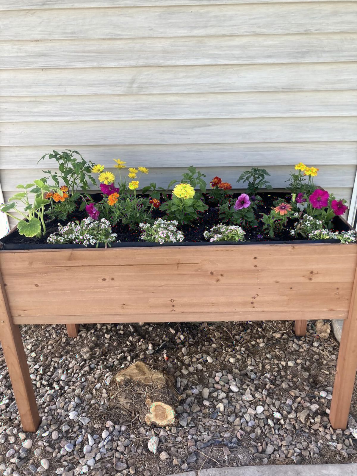 Raised Garden Bed with Legs, 48×24×30 Cedar Wood Elevated Planter Box | Large Growing Capacity，Premium Cedar Wood，Drainage Holes & Liner，Perfect for Outdoor Gardening，Ergonomic Gardening Height customer photo 1
