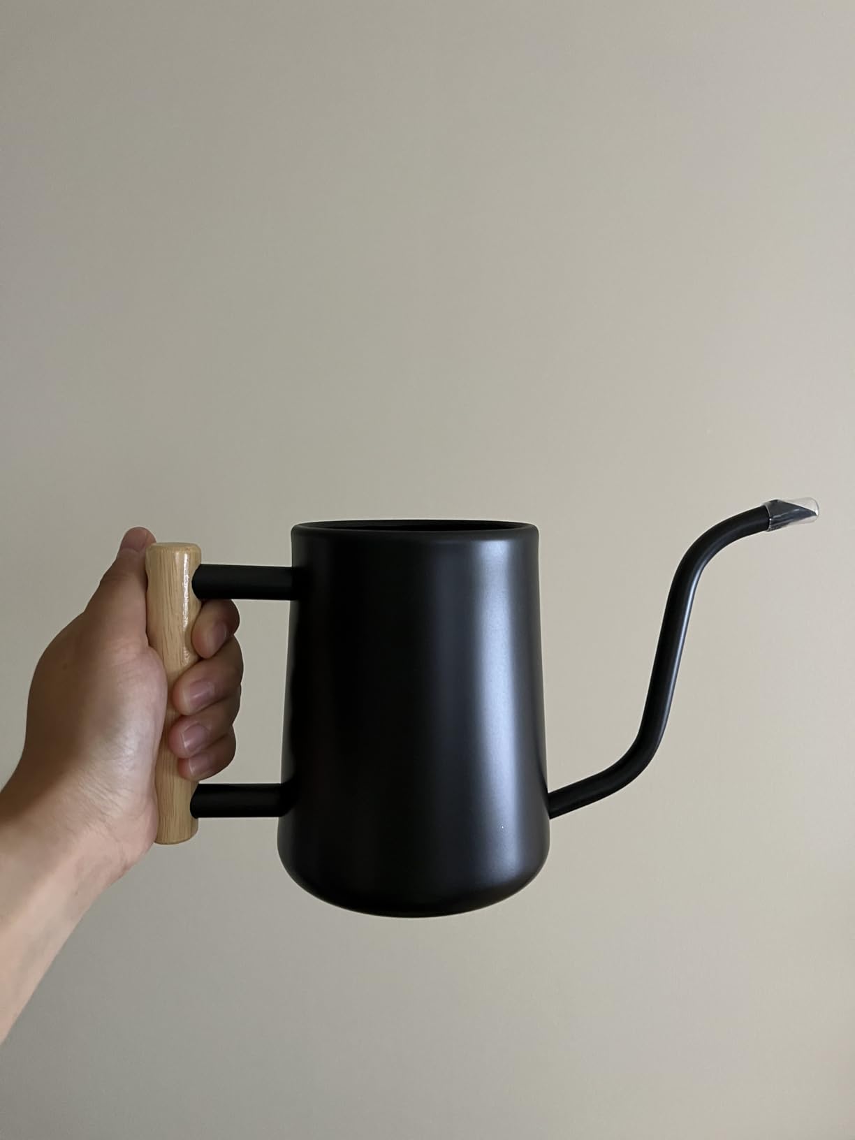 Watering Can for Indoor Plants, 35 oz/1000 ml Metal Stainless Steel Pot with Long Spout for House Plants Bonsai Outdoor Garden Flower Decorative (Black) customer photo 1