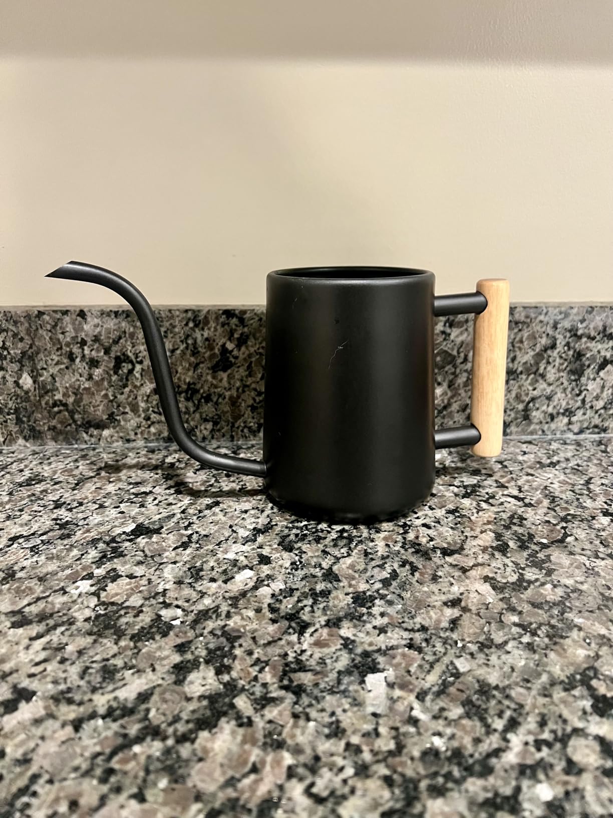 Watering Can for Indoor Plants, 35 oz/1000 ml Metal Stainless Steel Pot with Long Spout for House Plants Bonsai Outdoor Garden Flower Decorative (Black) customer photo 2