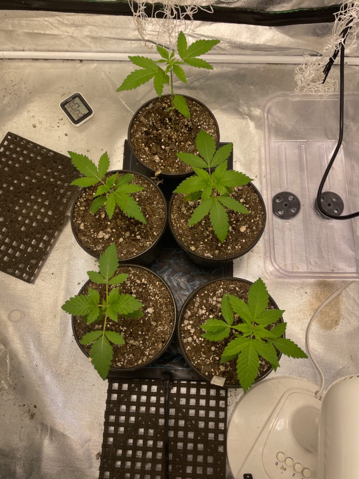 AC Infinity SUNCORE S3, Waterproof Seedling Mat with Heat Controller 10