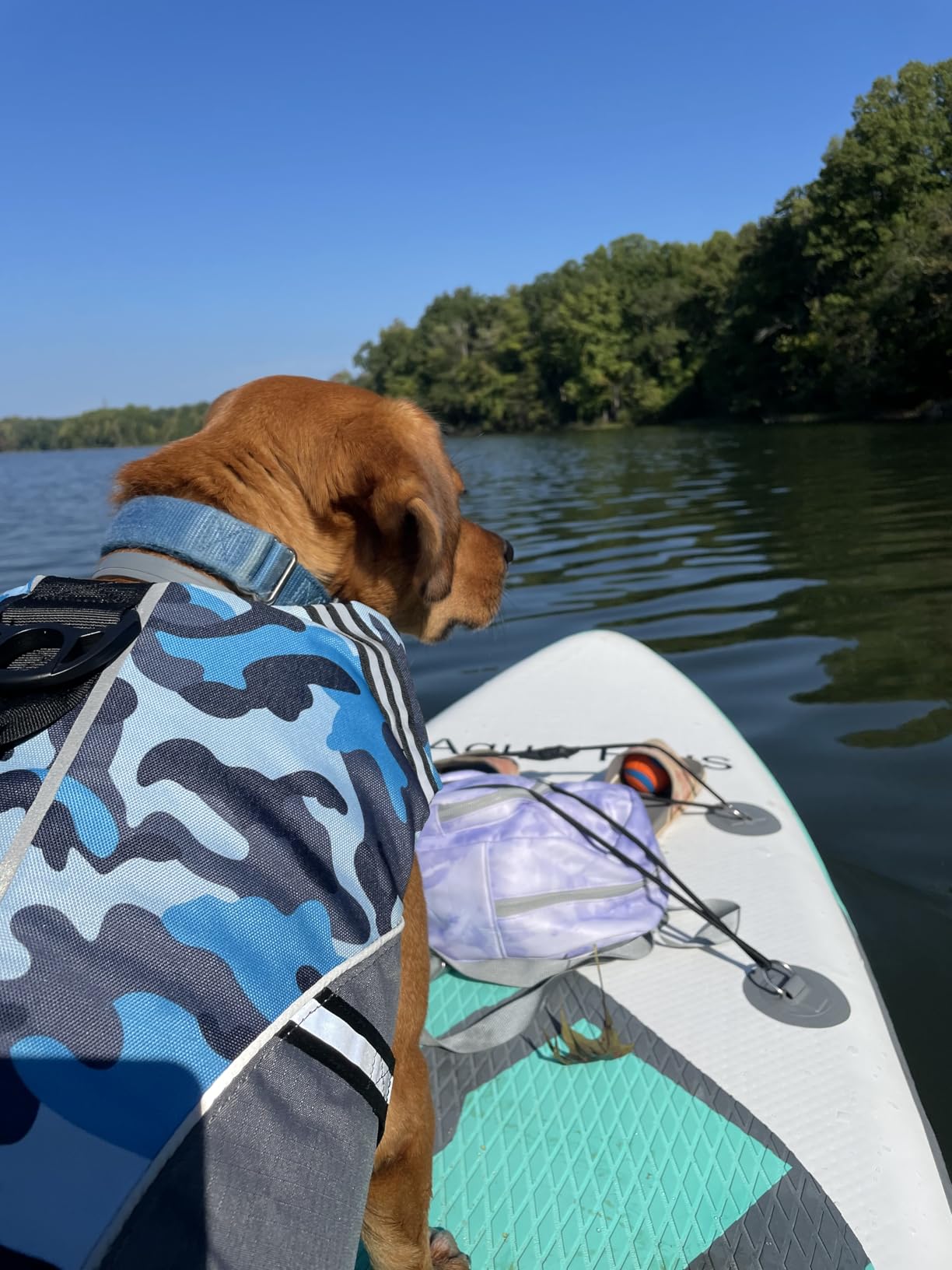 Aqua Plus 6inches Thick Inflatable SUP for All Skill Levels Stand Up Paddle Board,Paddle,Pump,ISUP Travel Backpack, Leash,Shoulder Strap,Youth,Adult Inflatable Paddle Board customer photo 2
