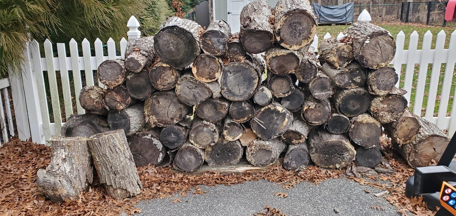 WEN Electric Log Splitter, 6.5-Ton Capacity with Portable Stand (56208) customer photo 2