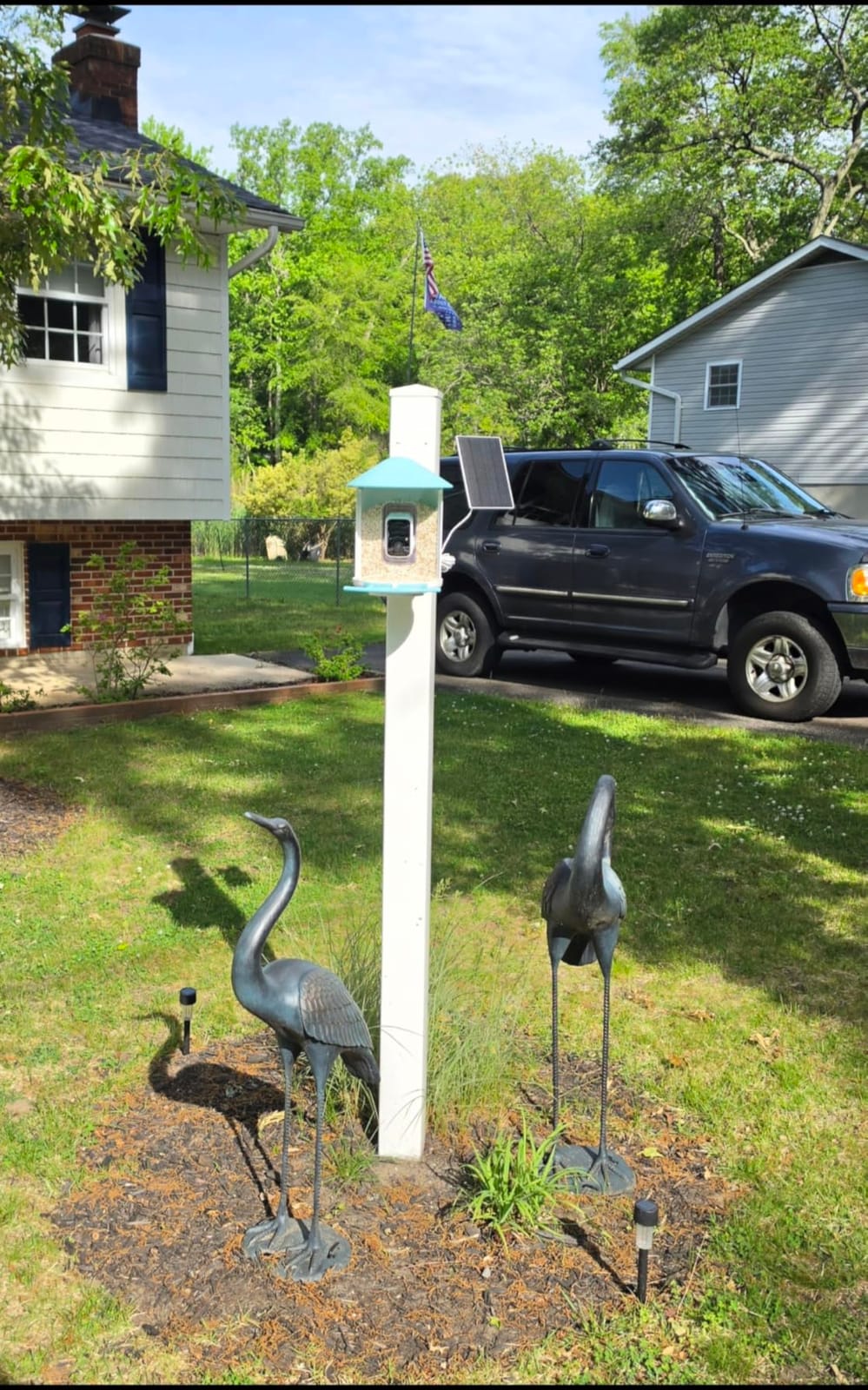 NETVUE by Birdfy Smart Bird Feeder with 2K AI Camera, Solar Powered - Auto Record & Notification, Accurate AI Bird ID, Free Cloud Storage, Share with 20+ Members, Work with Alexa customer photo 2