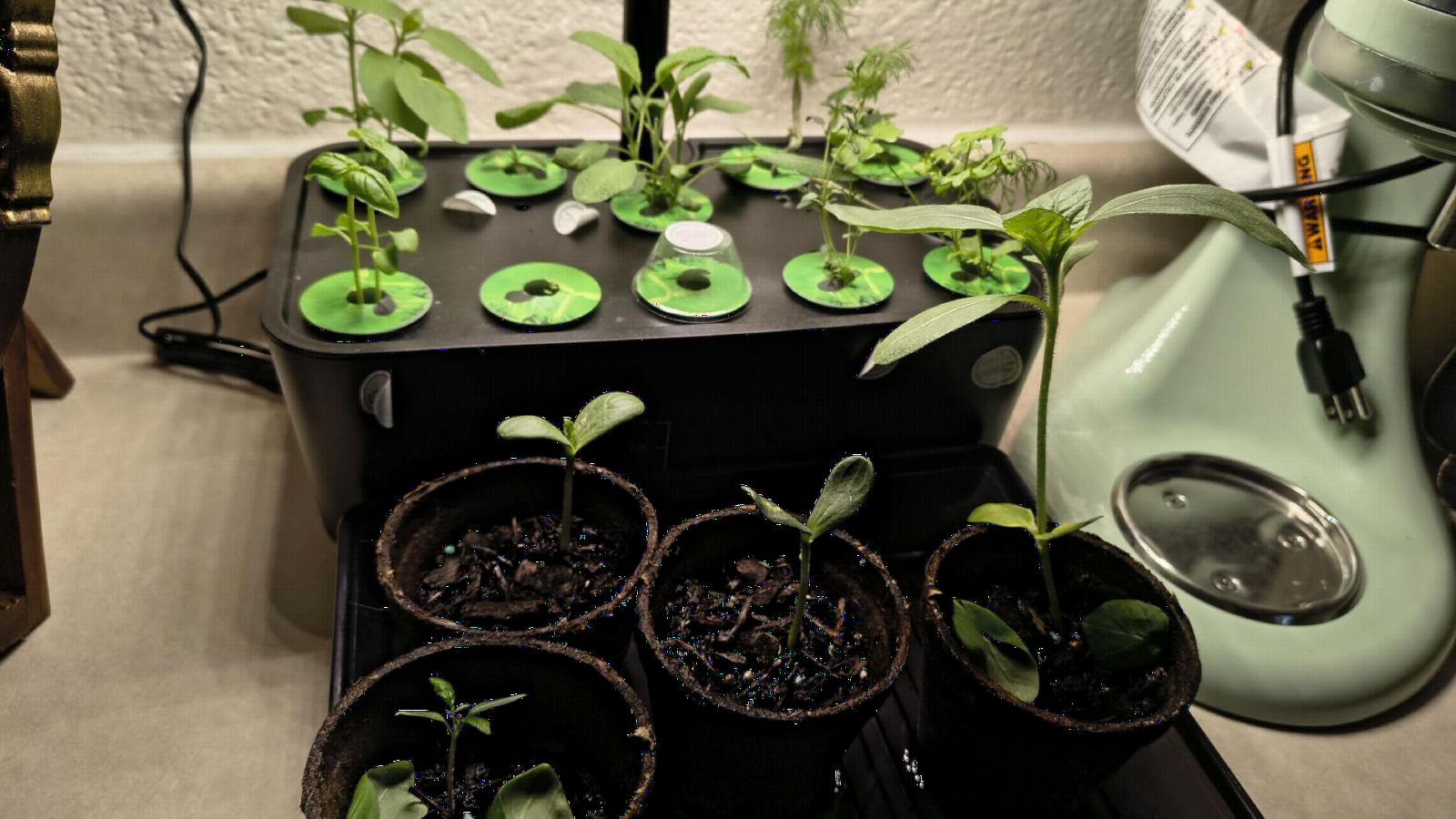 Indoor Garden Hydroponics Growing System: 10 Pods Kit with LED | Plant Germination Kit Herb Vegetable Growth Lamp Countertop, Hydroponic Planter Grower Harvest Lettuce for Healthy Home Cooks customer photo 1