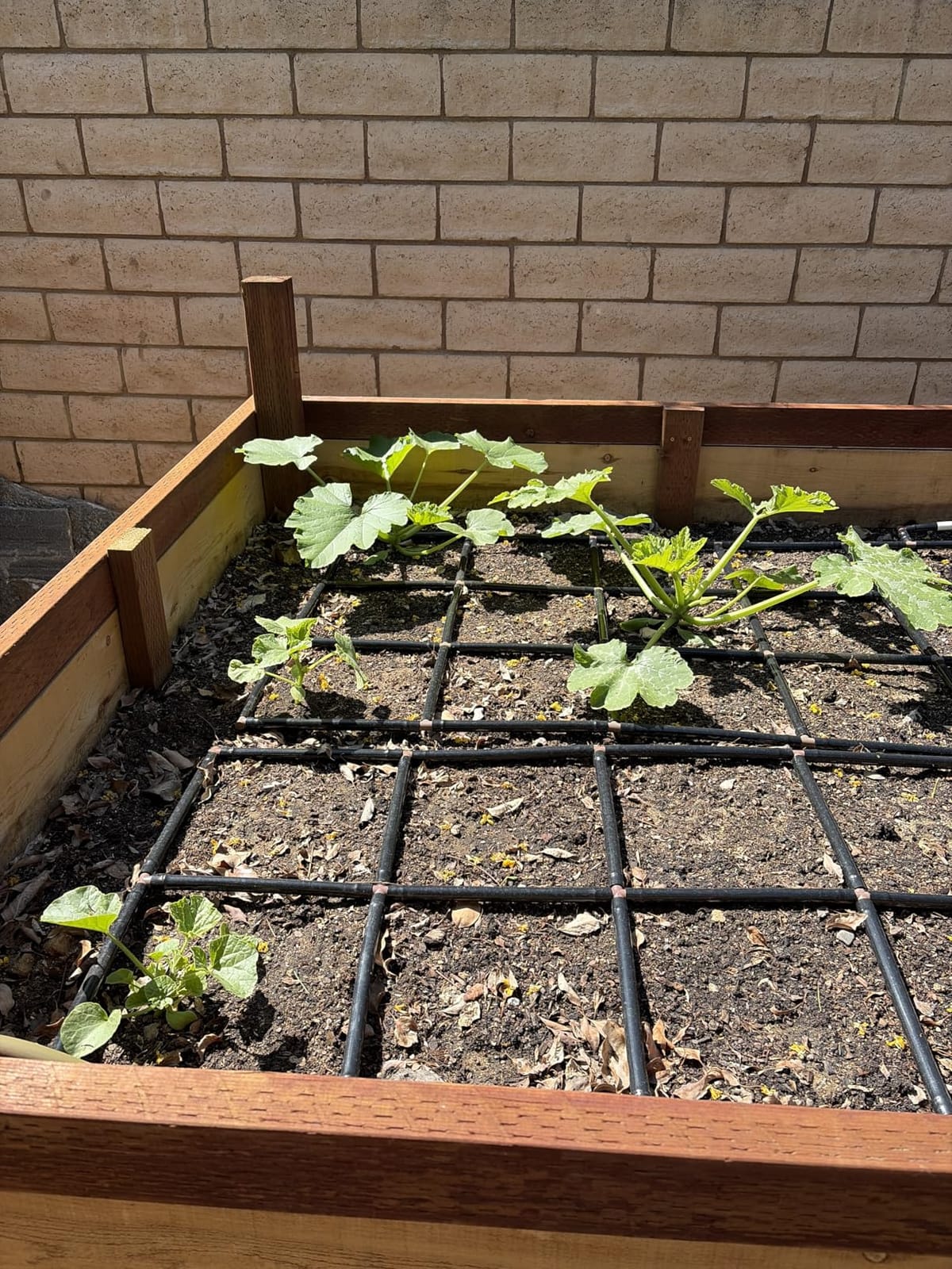 Garden Grid 3x6 | Raised Bed Watering System | Prebuilt Irrigation customer photo 2